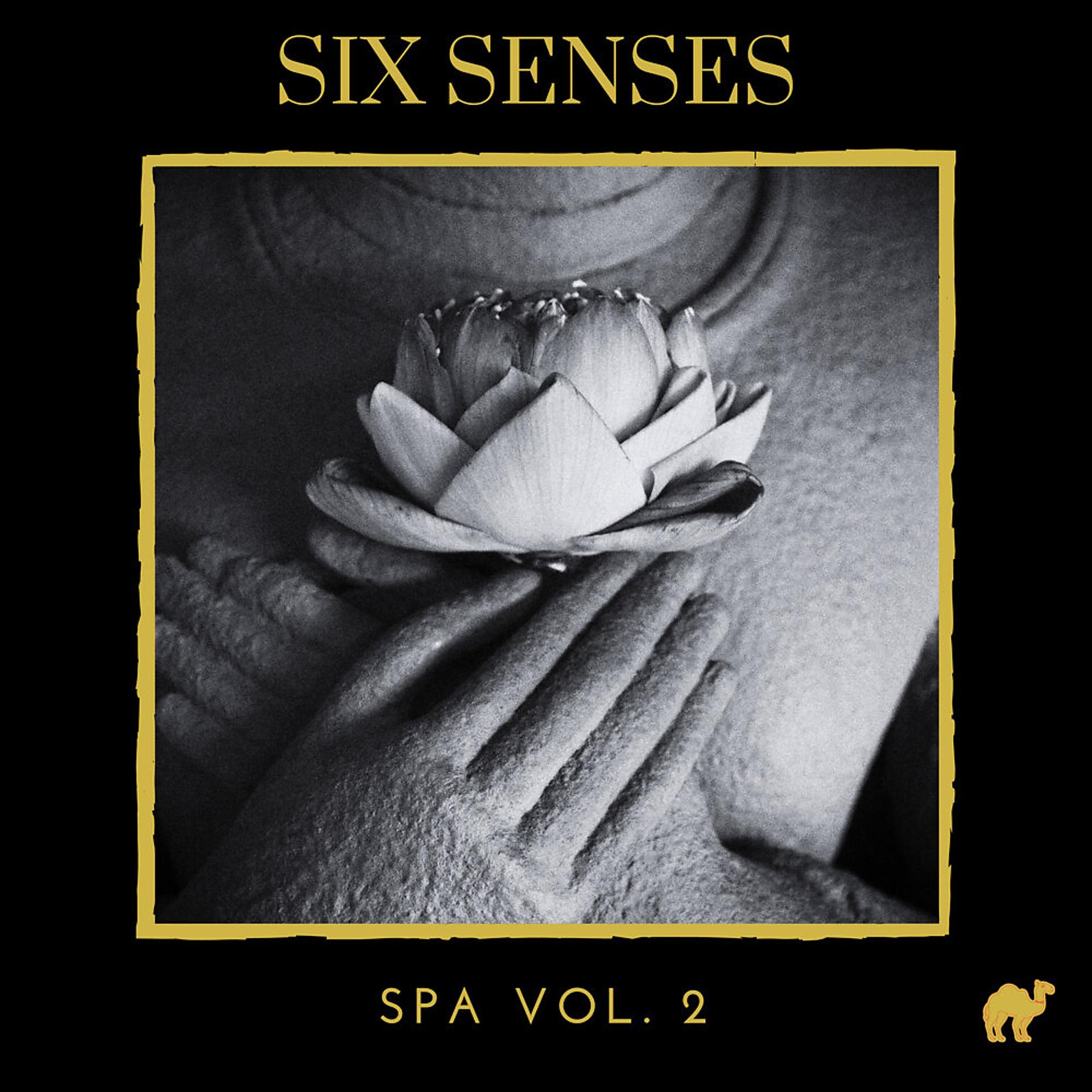 Постер альбома Six Senses: Spa Music, Vol. 2