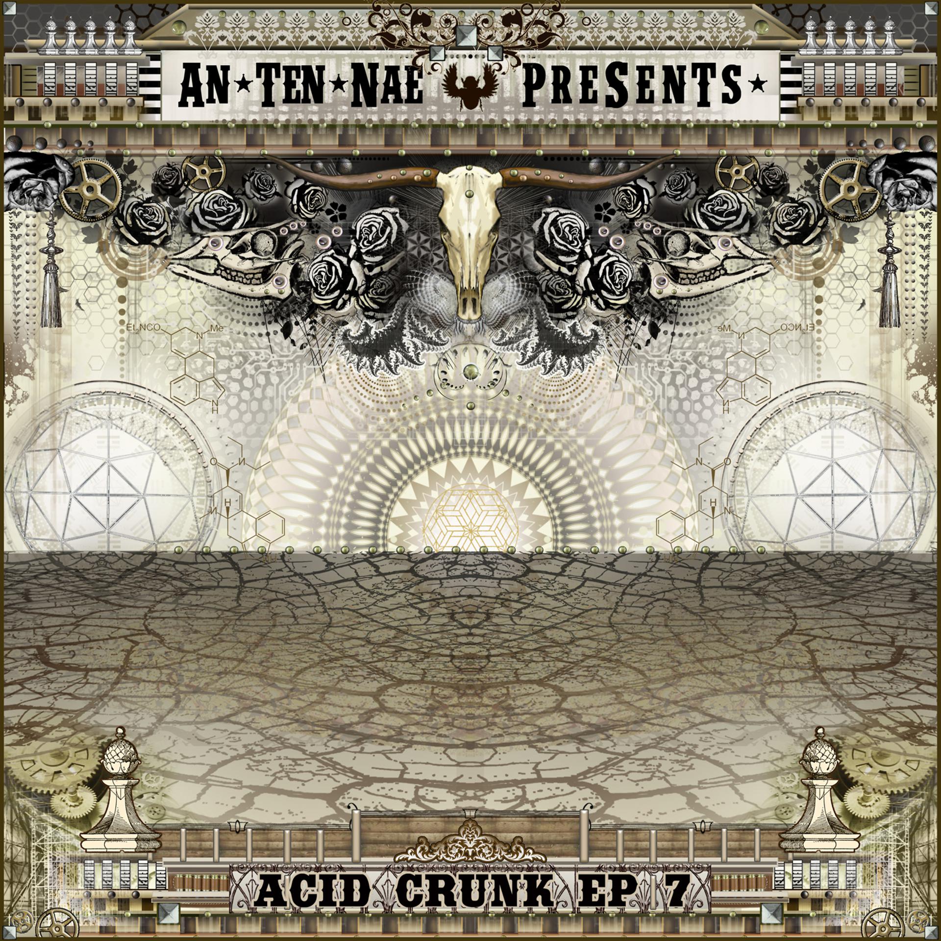 Постер альбома Acid Crunk EP 7