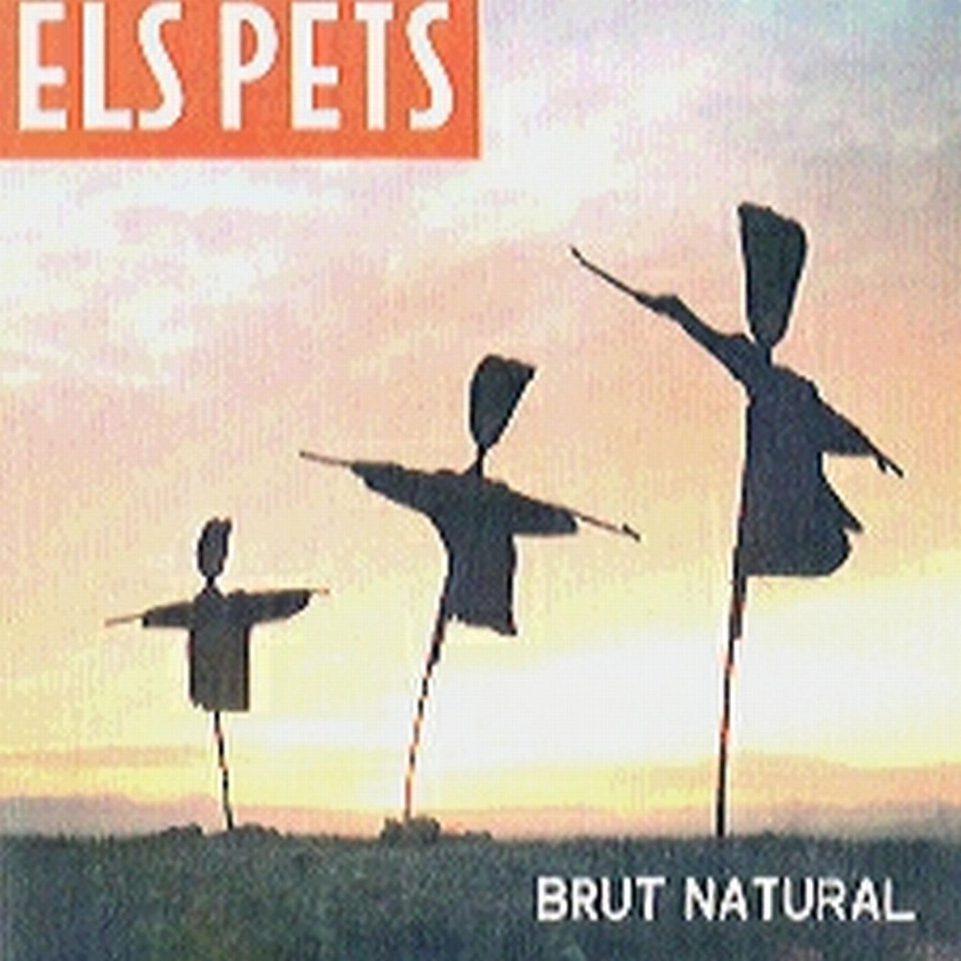 Постер альбома Brut Natural