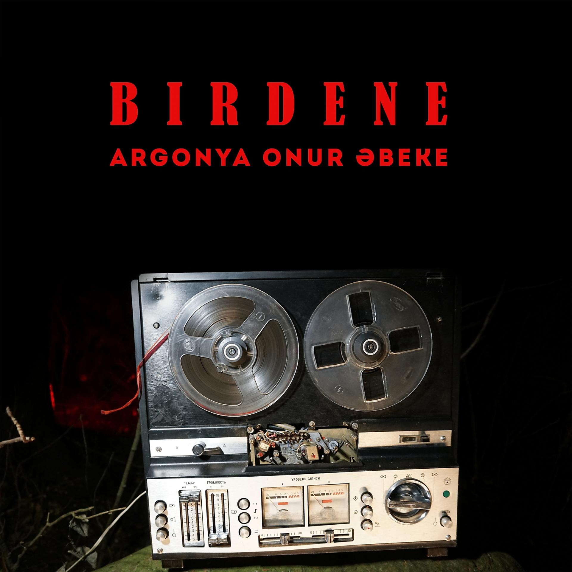 Постер альбома Birdene