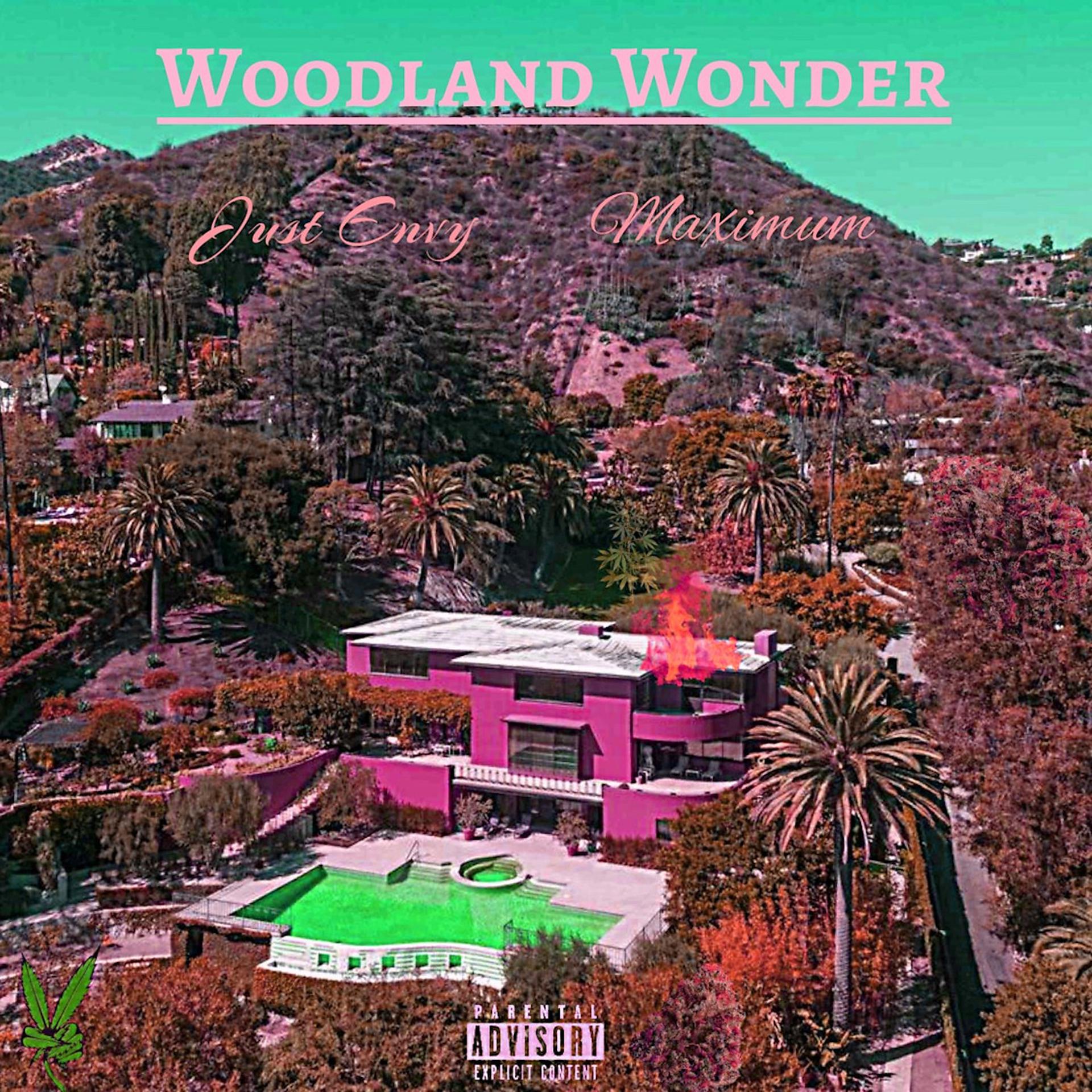 Постер альбома Woodland Wonder