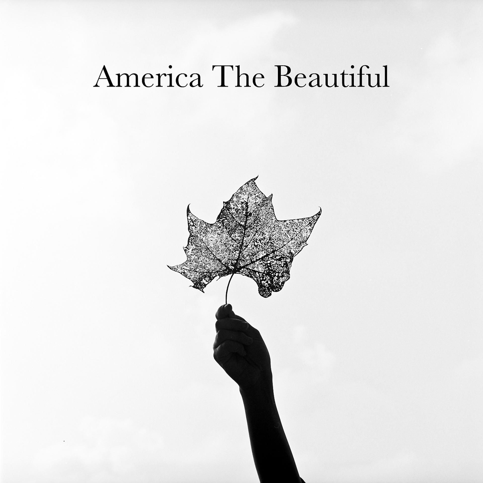 Постер альбома America The Beautiful (feat. Trisha Yearwood, Keb' Mo', Amy Grant & The War and Treaty)