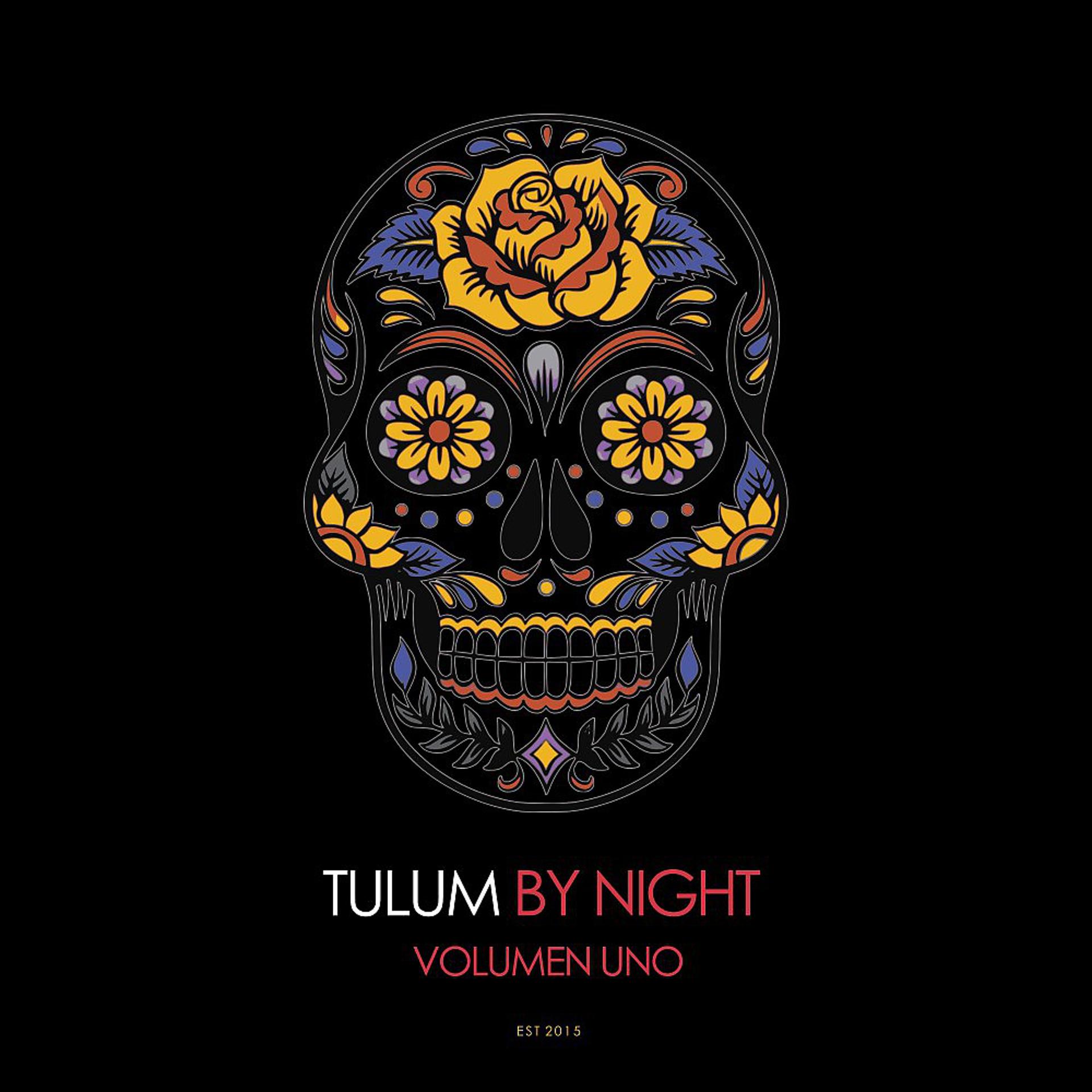 Постер альбома Tulum by Night, Vol. 1 (The Deep House Collection)