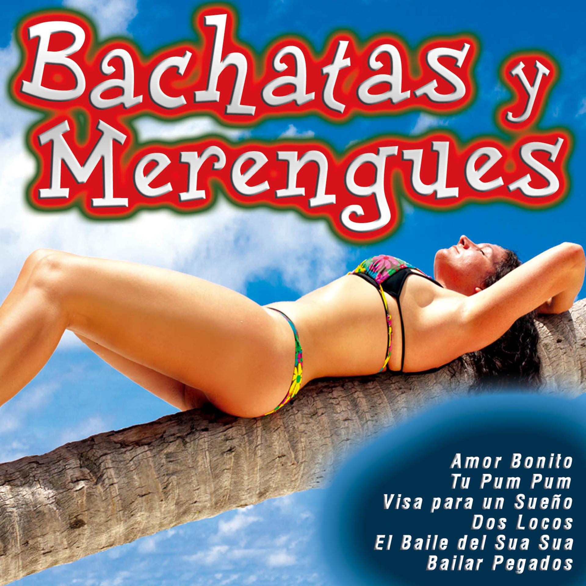 Постер альбома Bachatas y Merengues