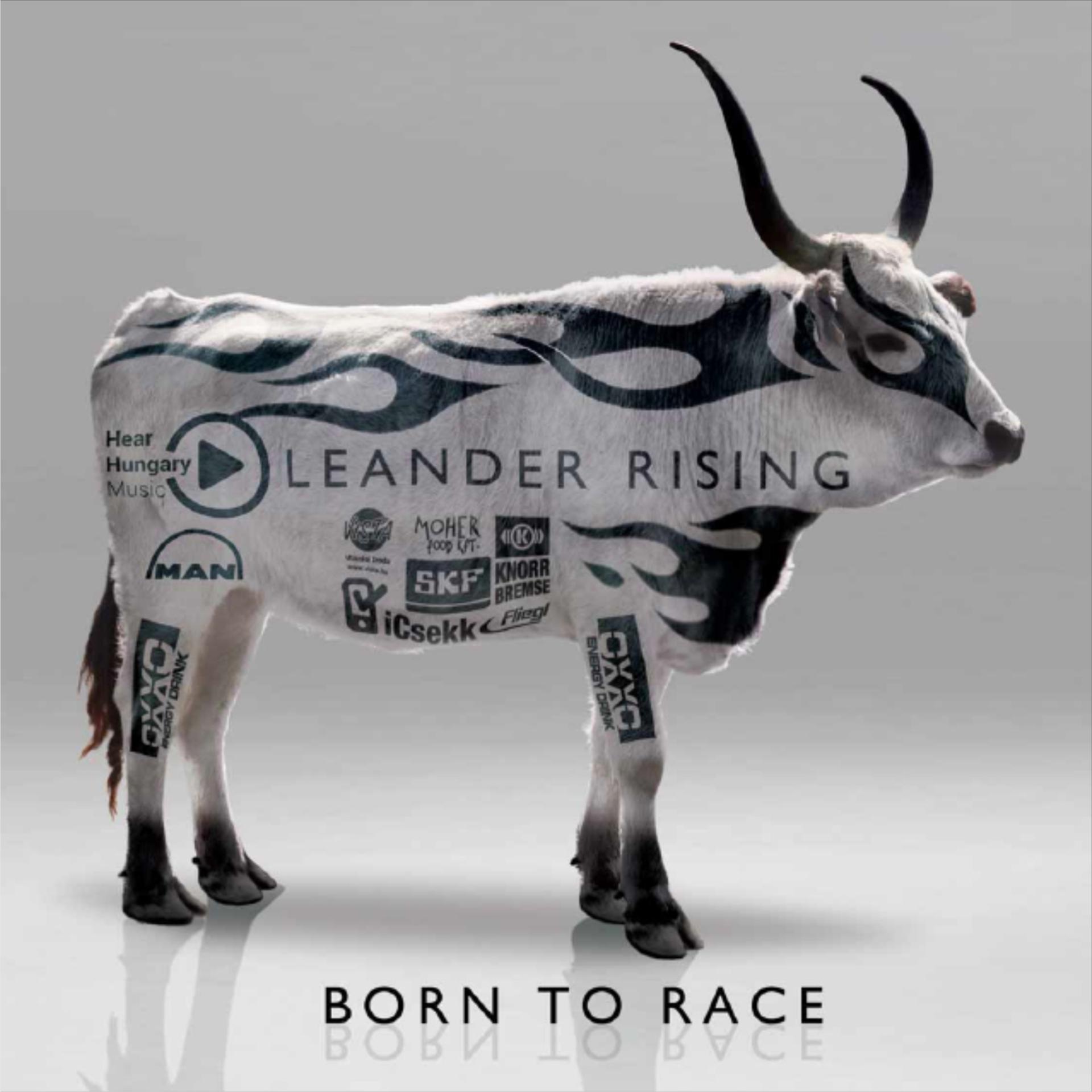 Постер альбома Born To Race