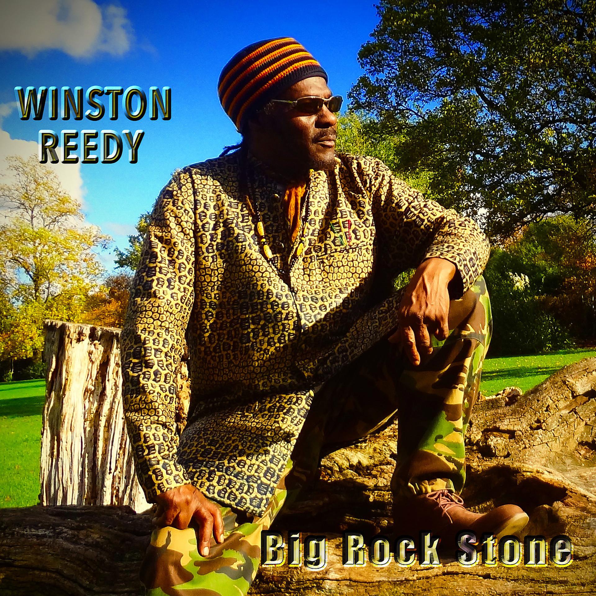 Постер альбома Big Rock Stone