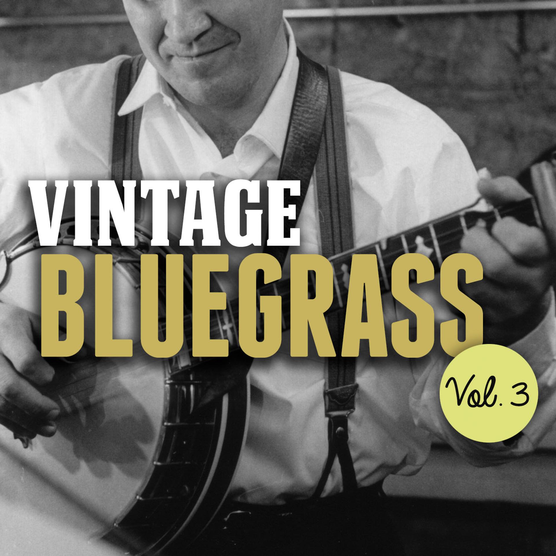 Постер альбома Vintage Bluegrass, Vol. 3