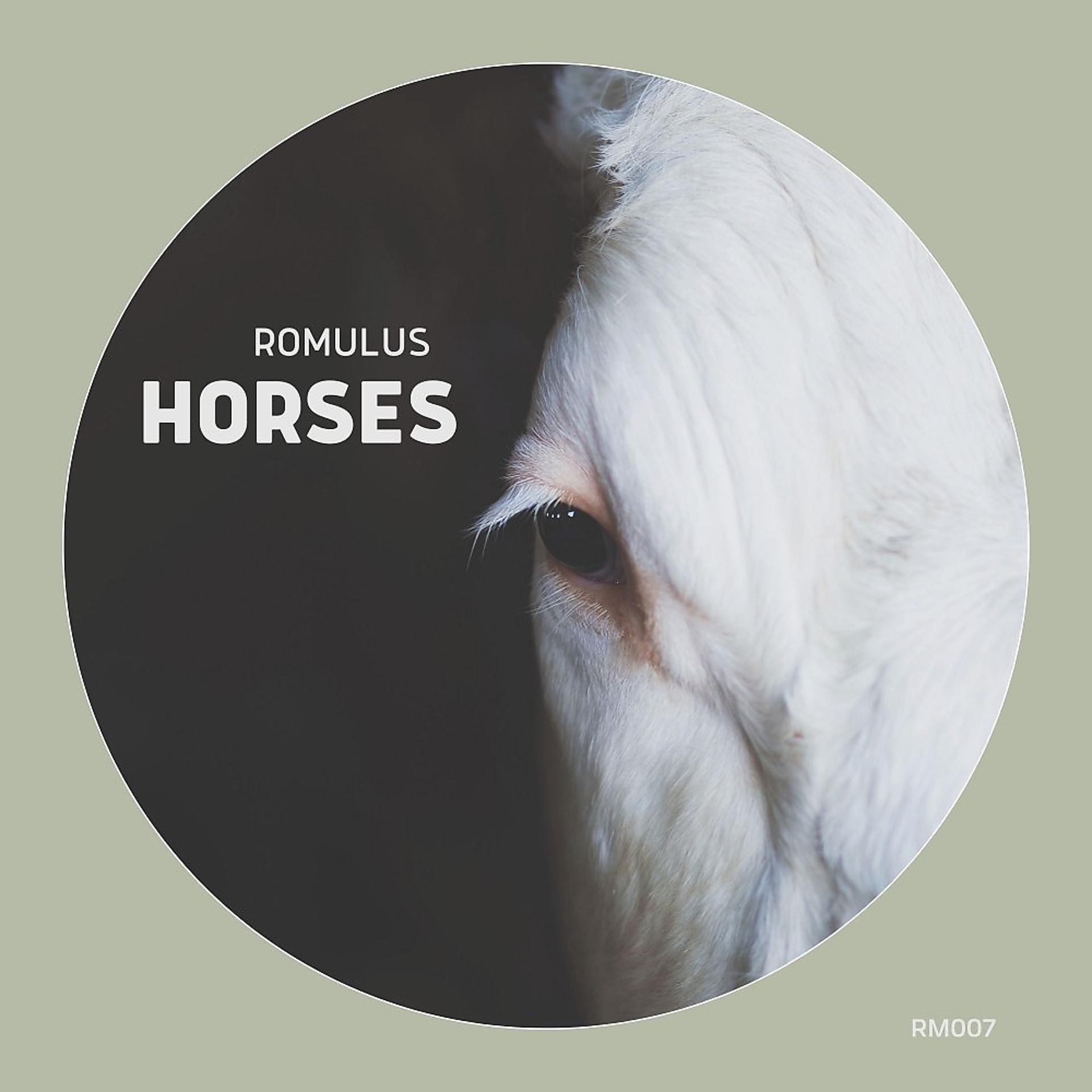 Постер альбома Horses