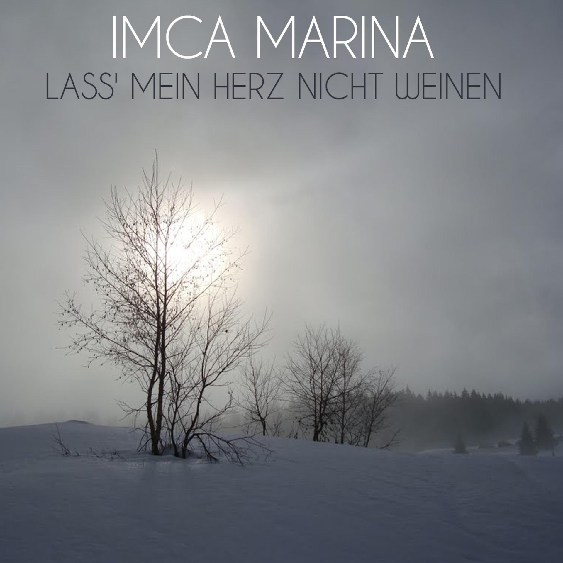 Постер альбома Lass' Mein Herz Nicht Weinen