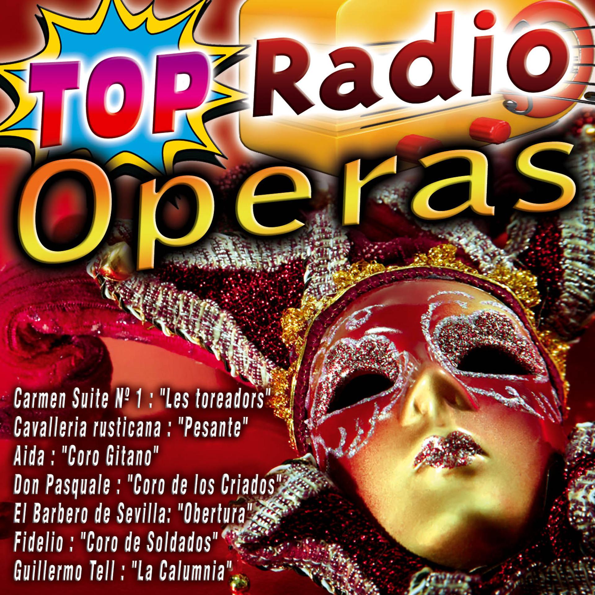 Постер альбома Top Radio - Operas