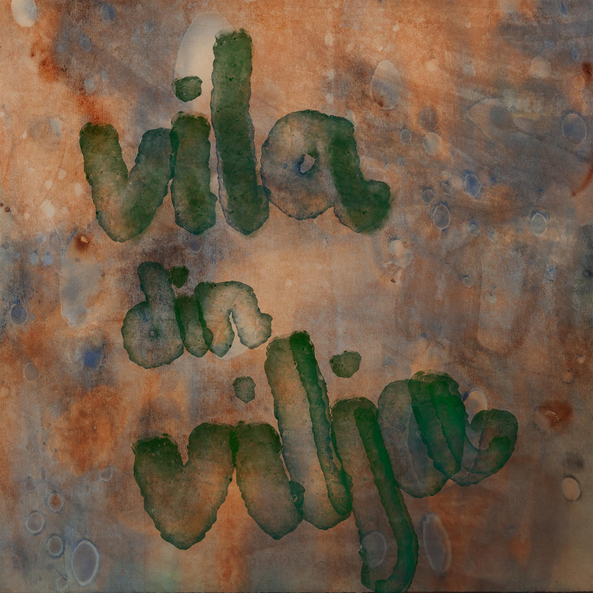 Постер альбома Vila din vilja (Radio Edit)