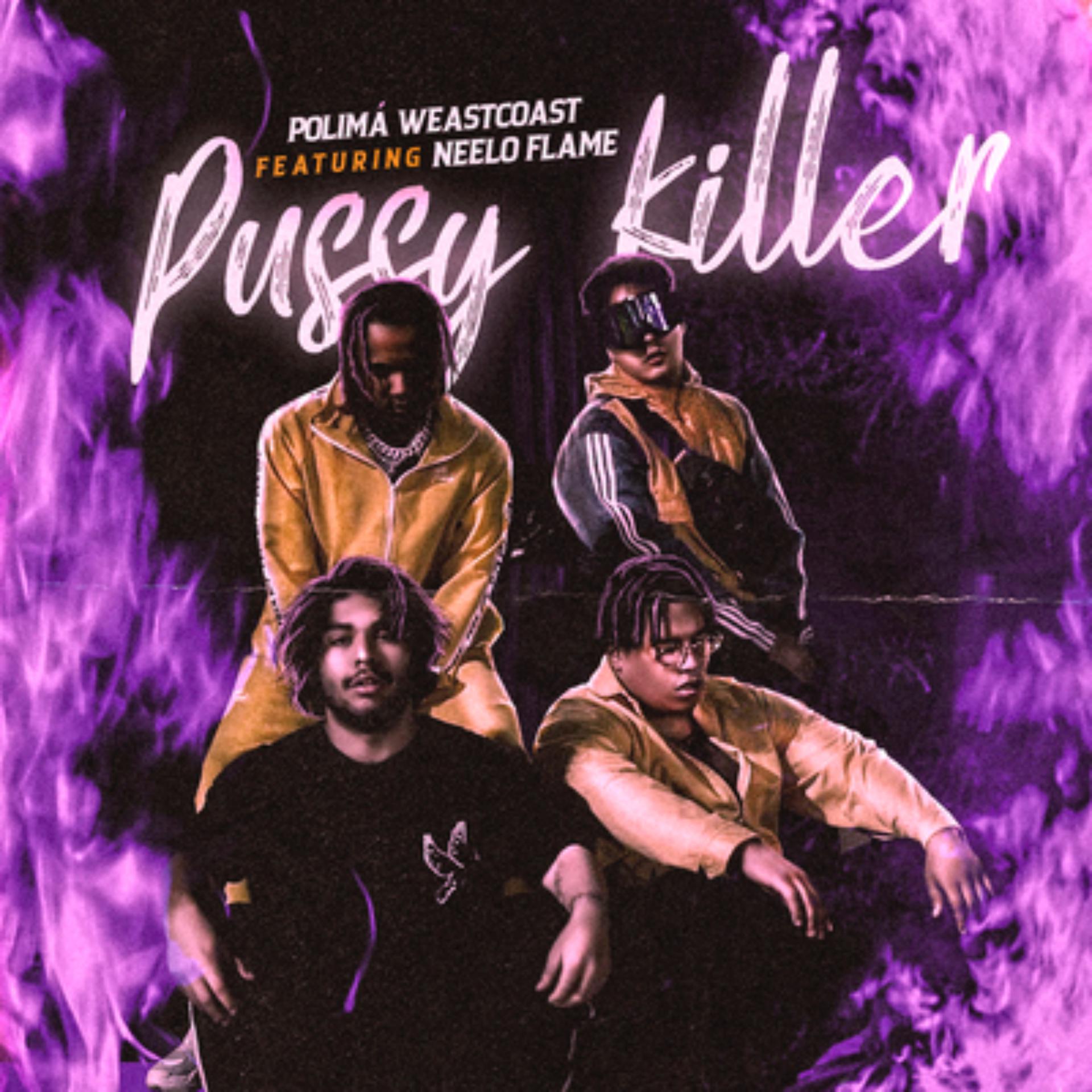 Постер альбома Pussy Killer