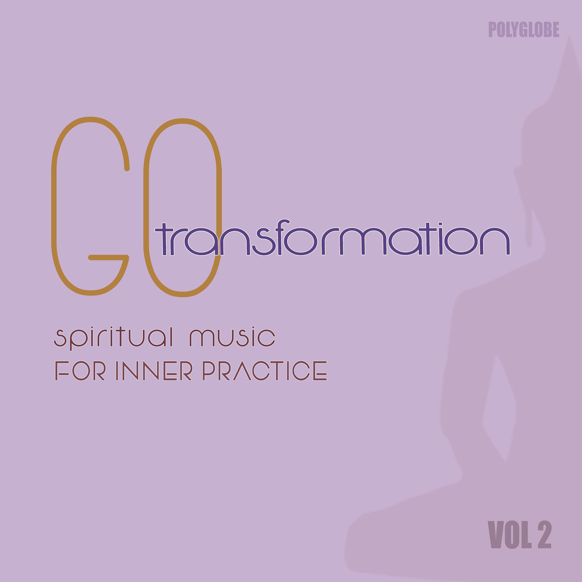 Постер альбома Go Transformation