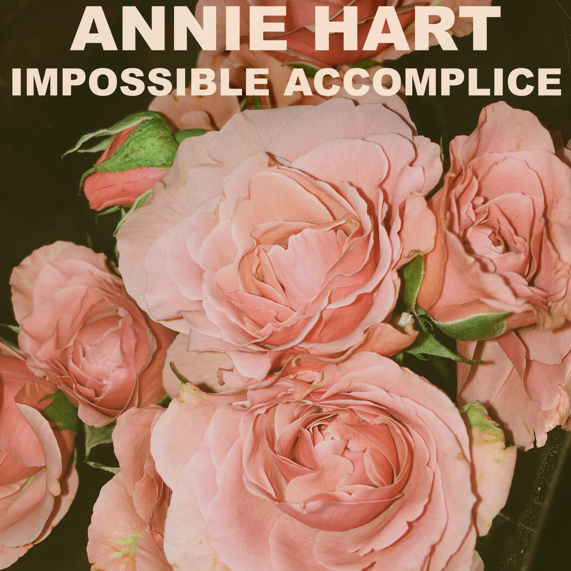 Постер альбома Impossible Accomplice