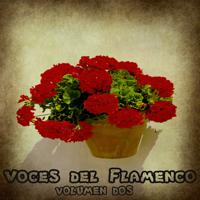 Постер альбома Voces del Flamenco Vol. 2