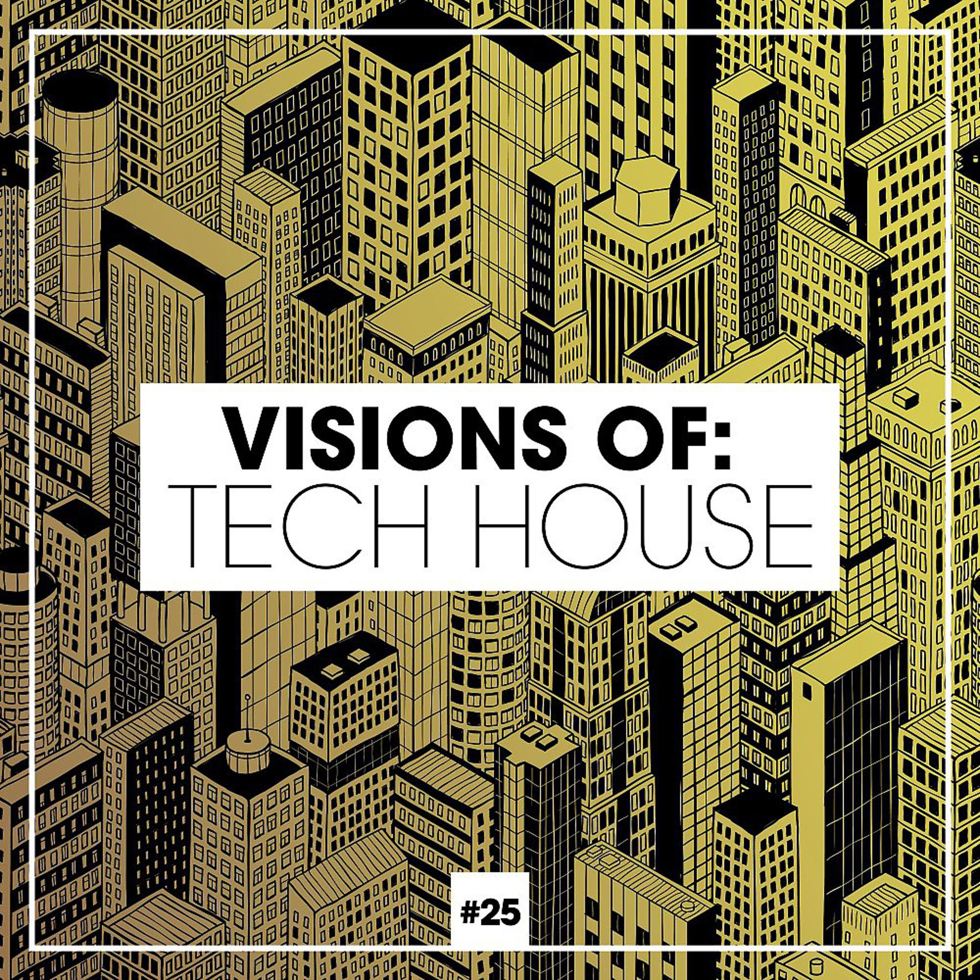 Постер альбома Visions of: Tech House, Vol. 25