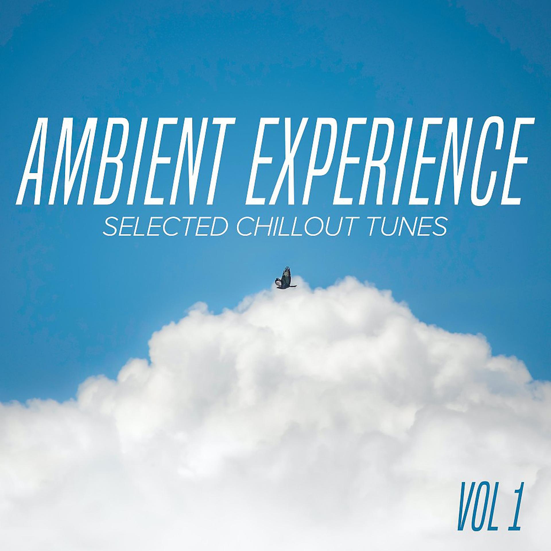 Постер альбома Ambient Experience Vol. 1 : Selected Chillout Tunes