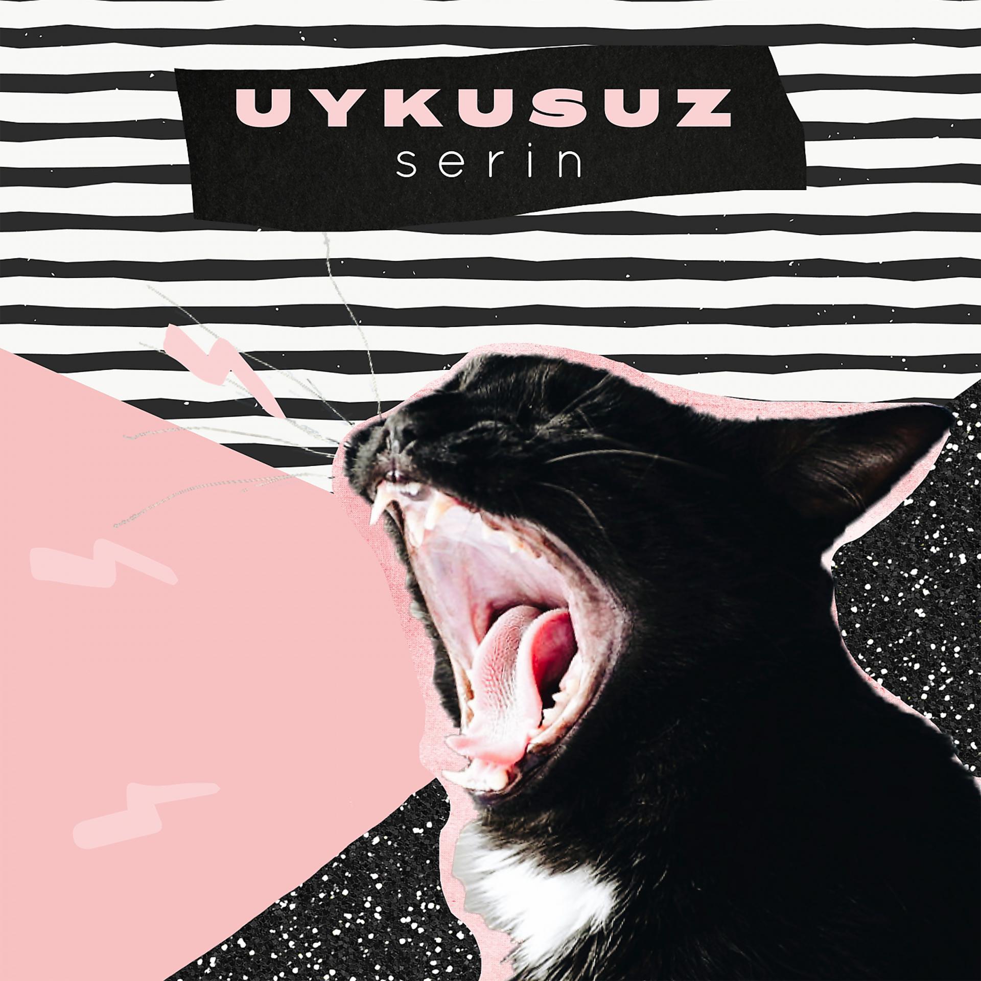 Постер альбома Uykusuz