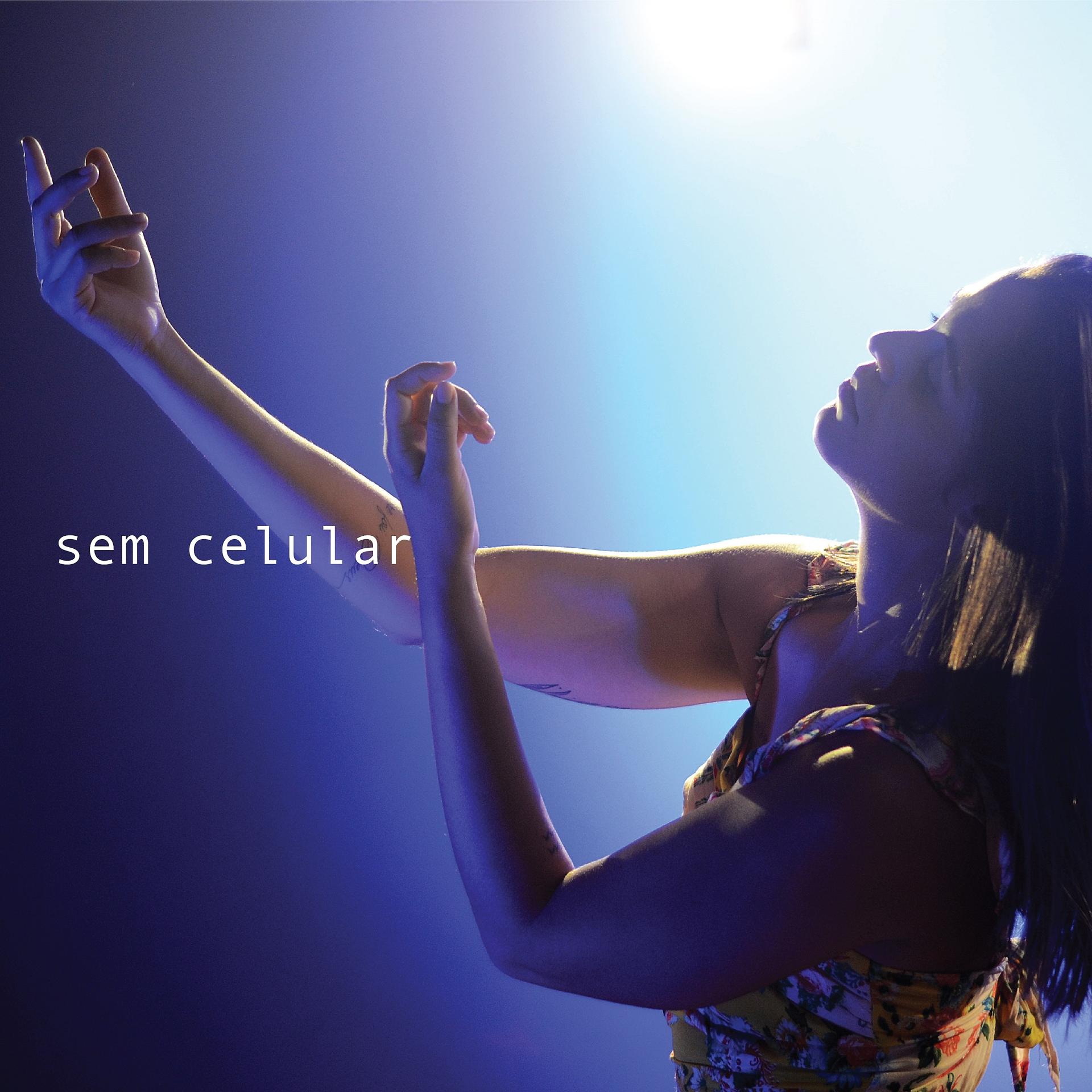 Постер альбома Sem Celular (Remix)