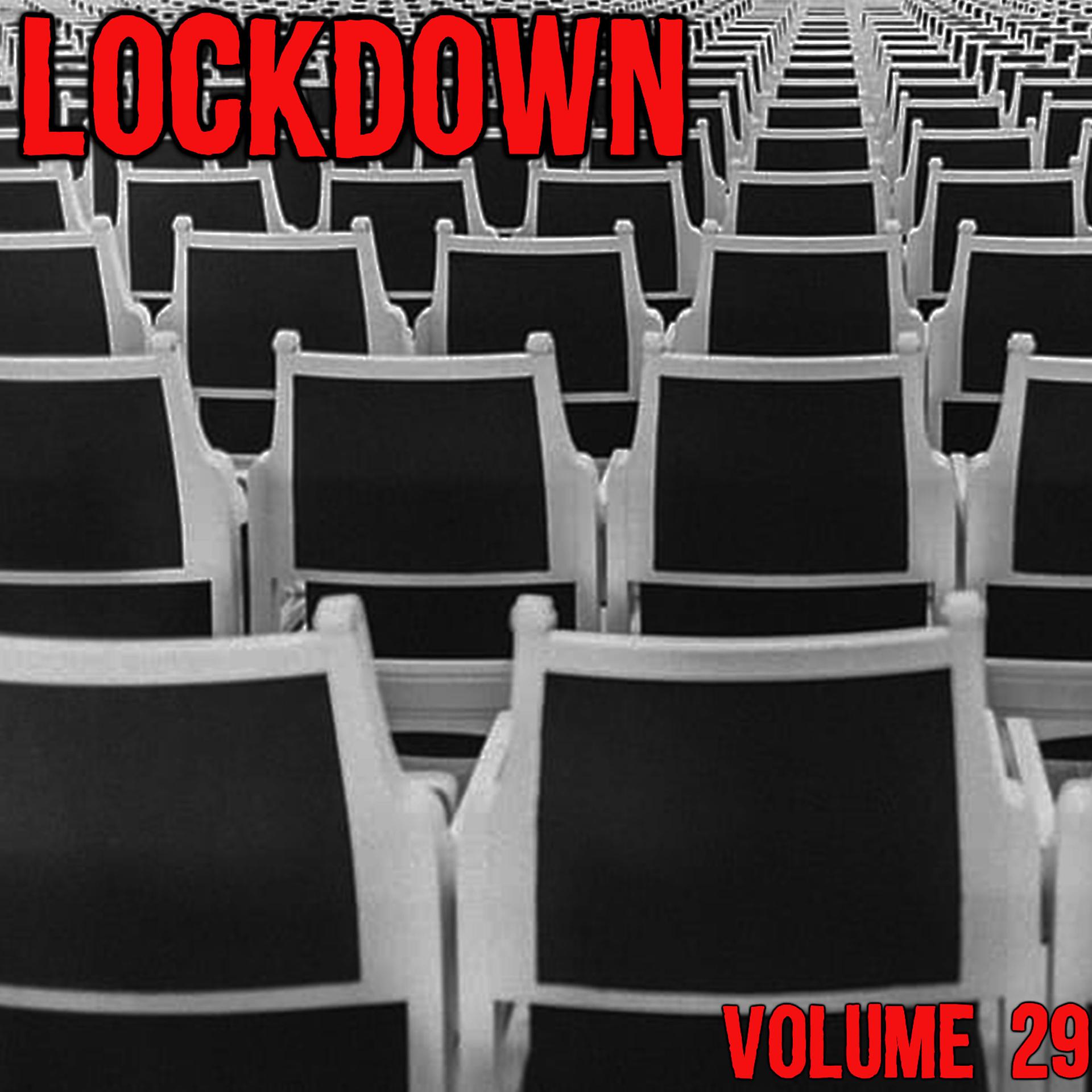 Постер альбома Lock Down Vol. 29