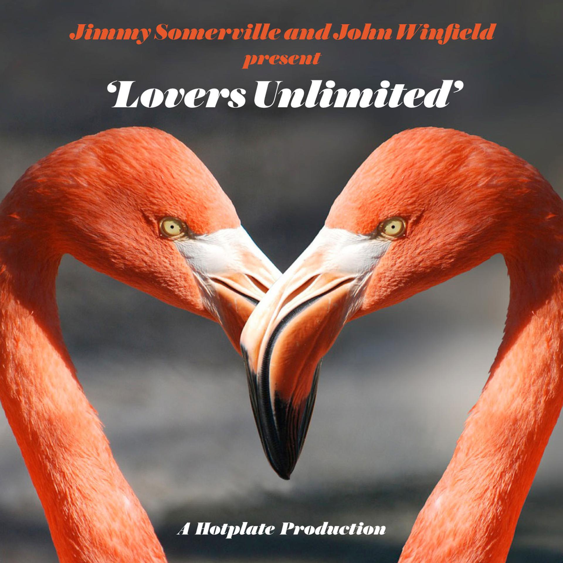 Постер альбома Lovers Unlimited