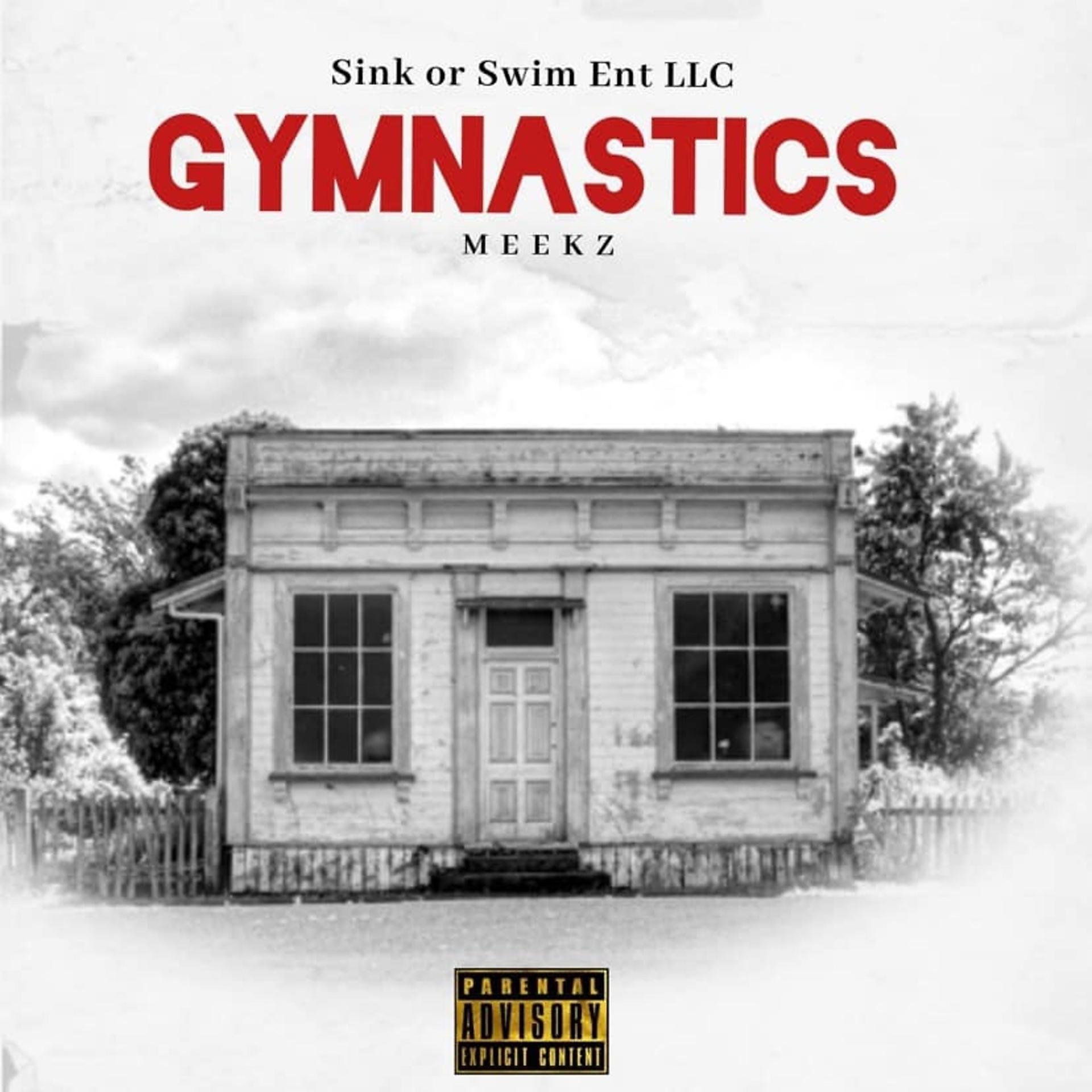 Постер альбома Gymnastics