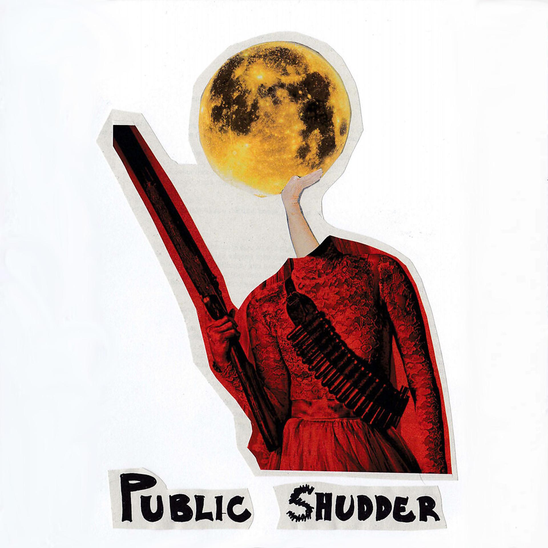 Постер альбома Public Shudder