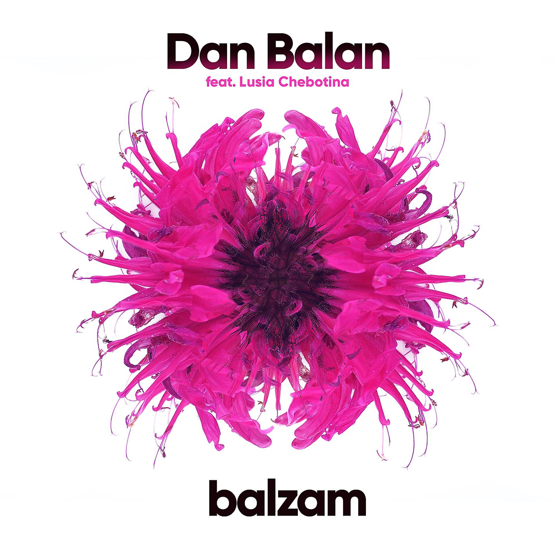 Постер альбома Balzam