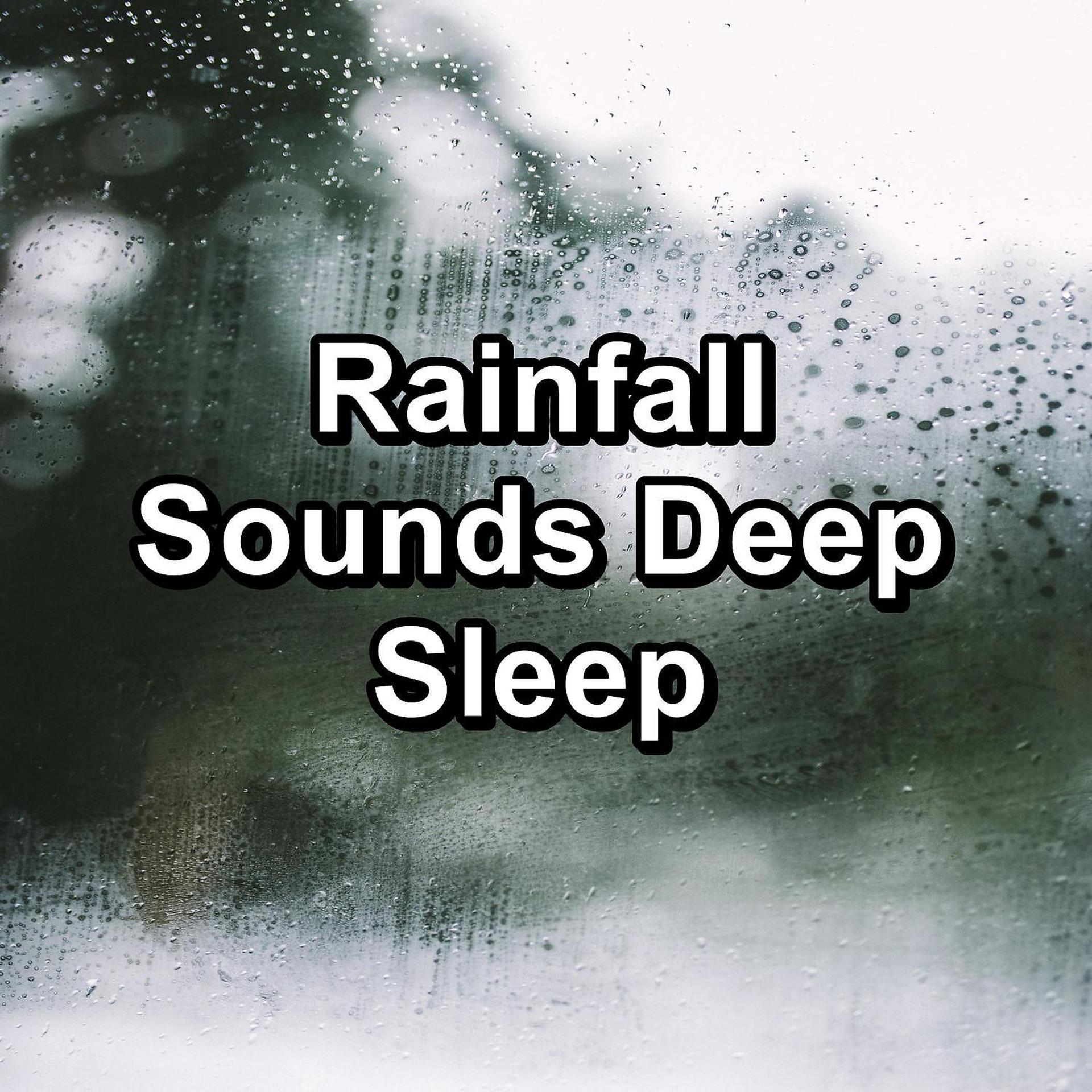 Постер альбома Rainfall Sounds Deep Sleep