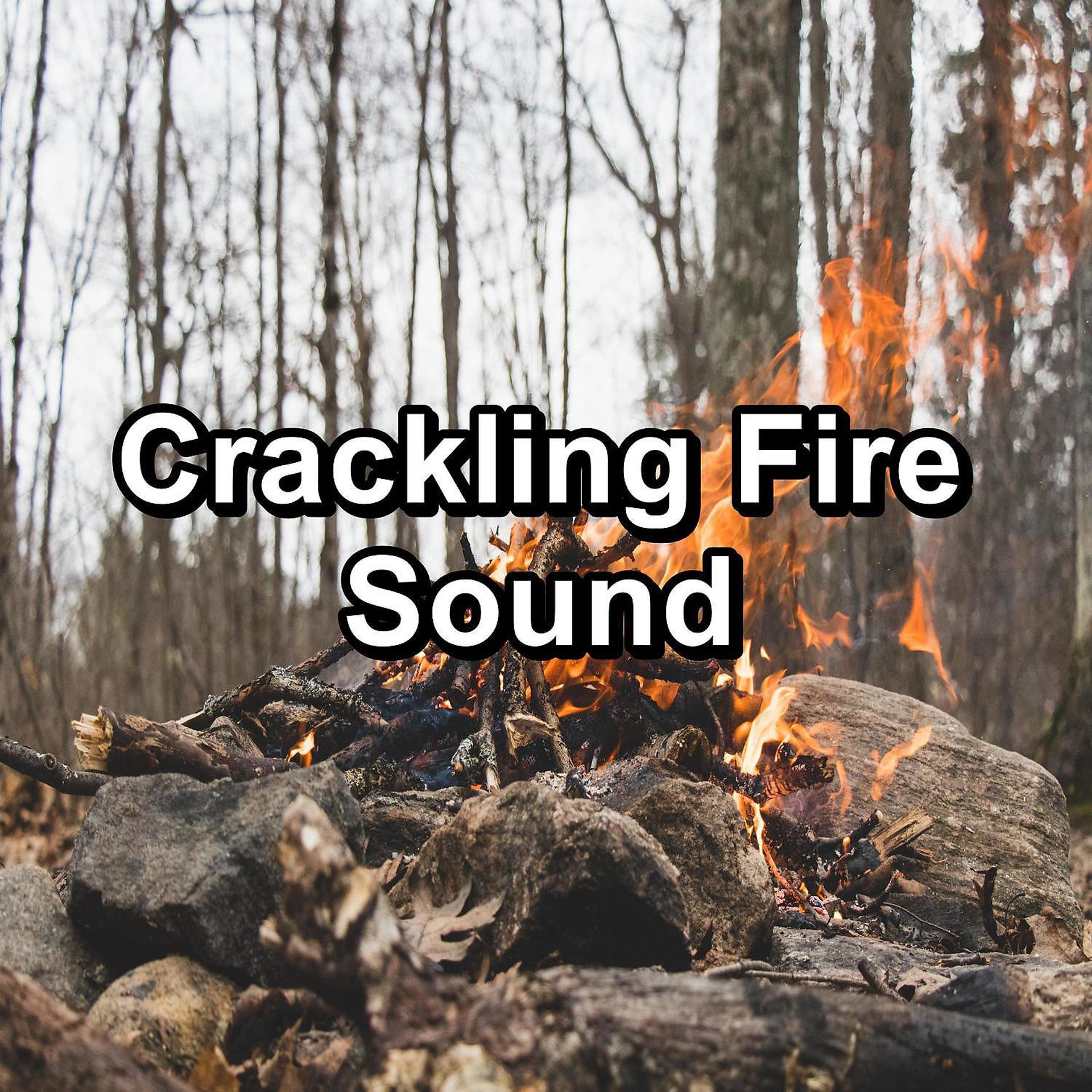 Постер альбома Crackling Fire Sound