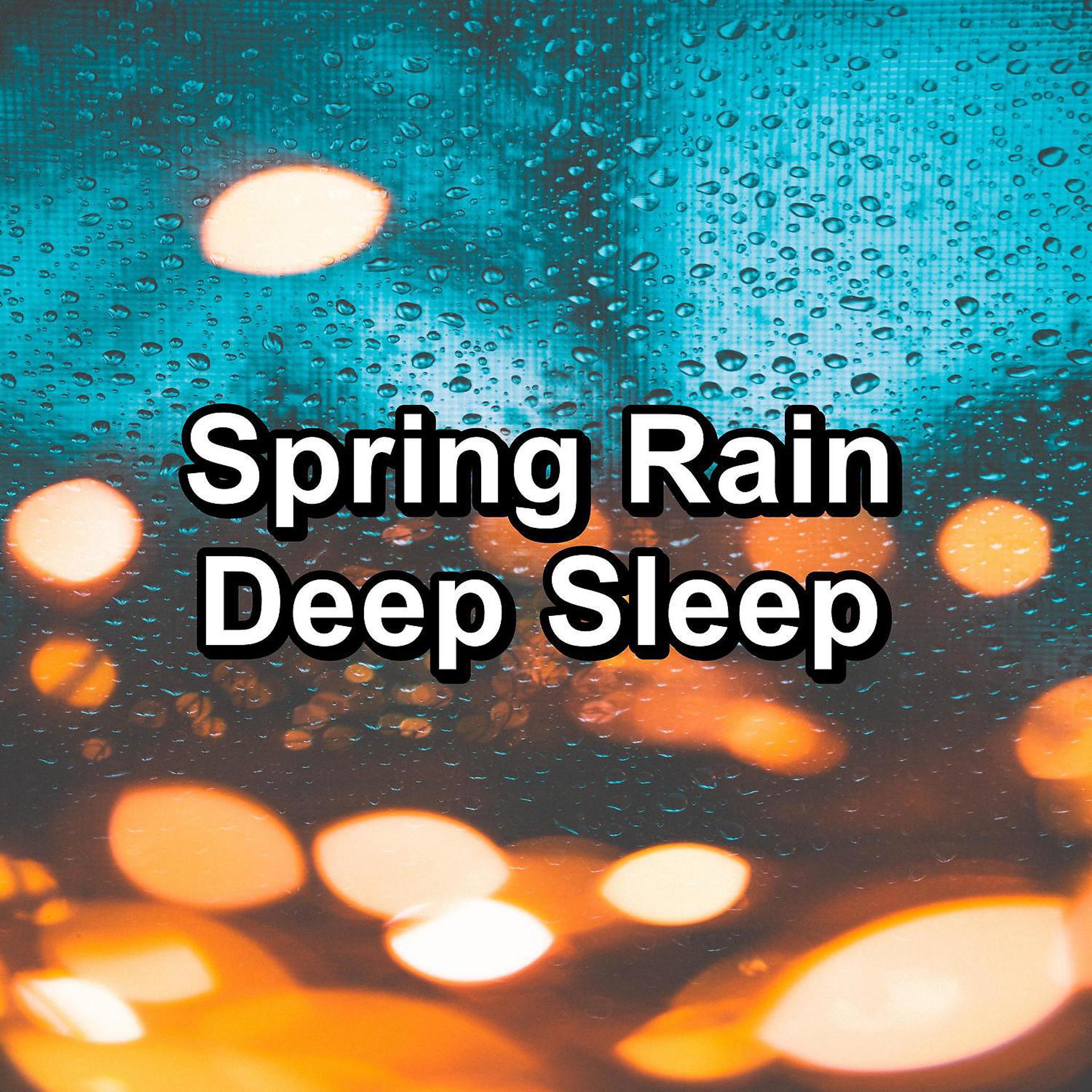 Постер альбома Spring Rain Deep Sleep