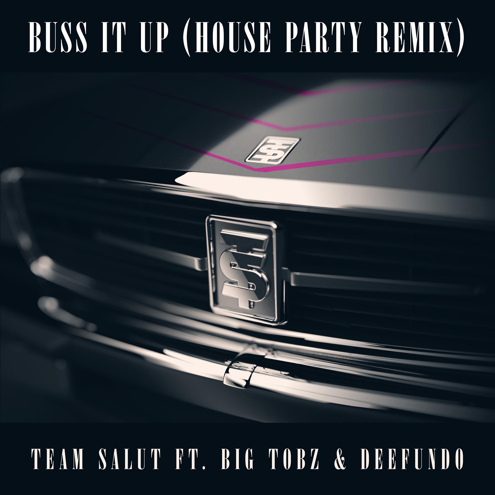 Постер альбома Buss It Up (House Party Remix)