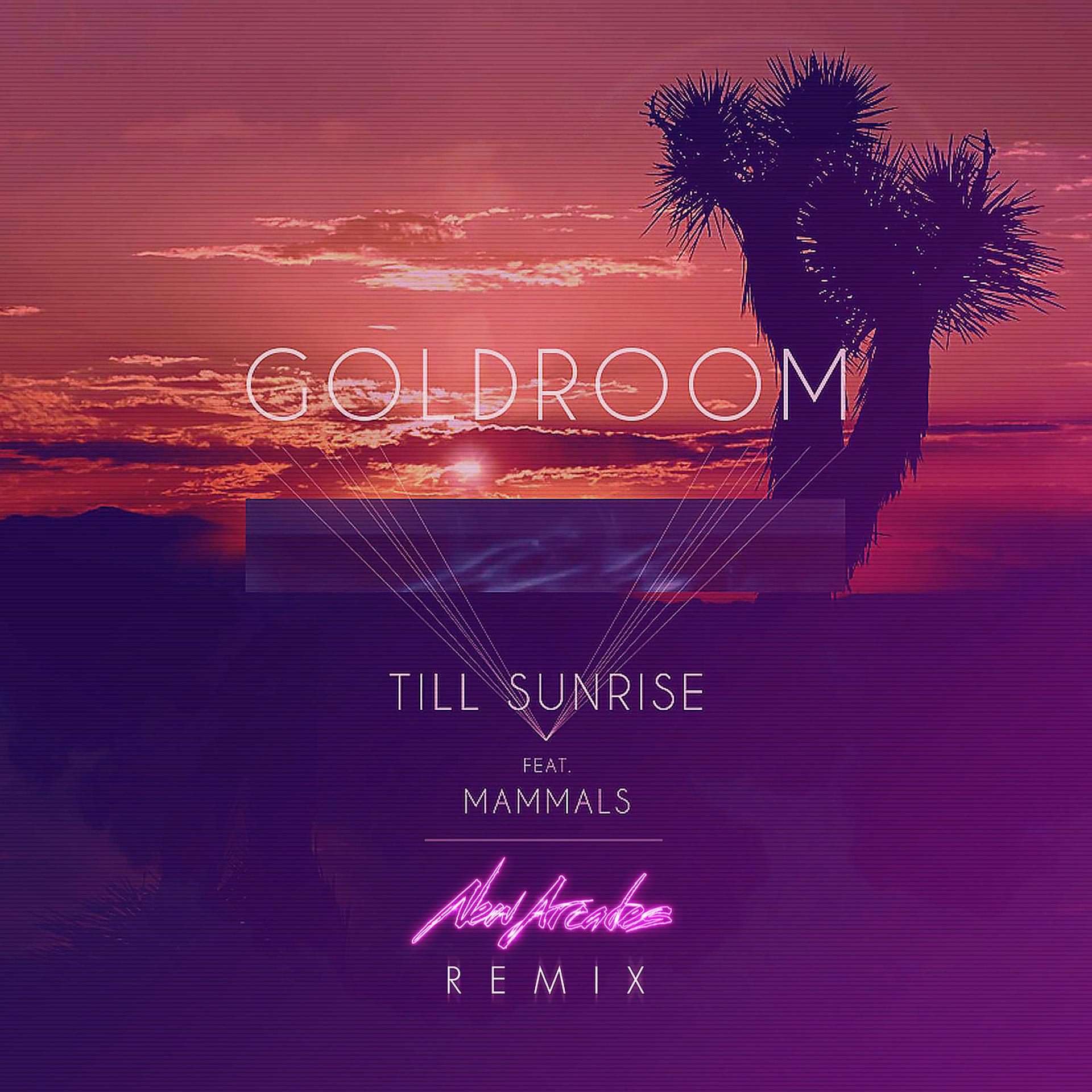 Постер альбома Till Sunrise (Remix)