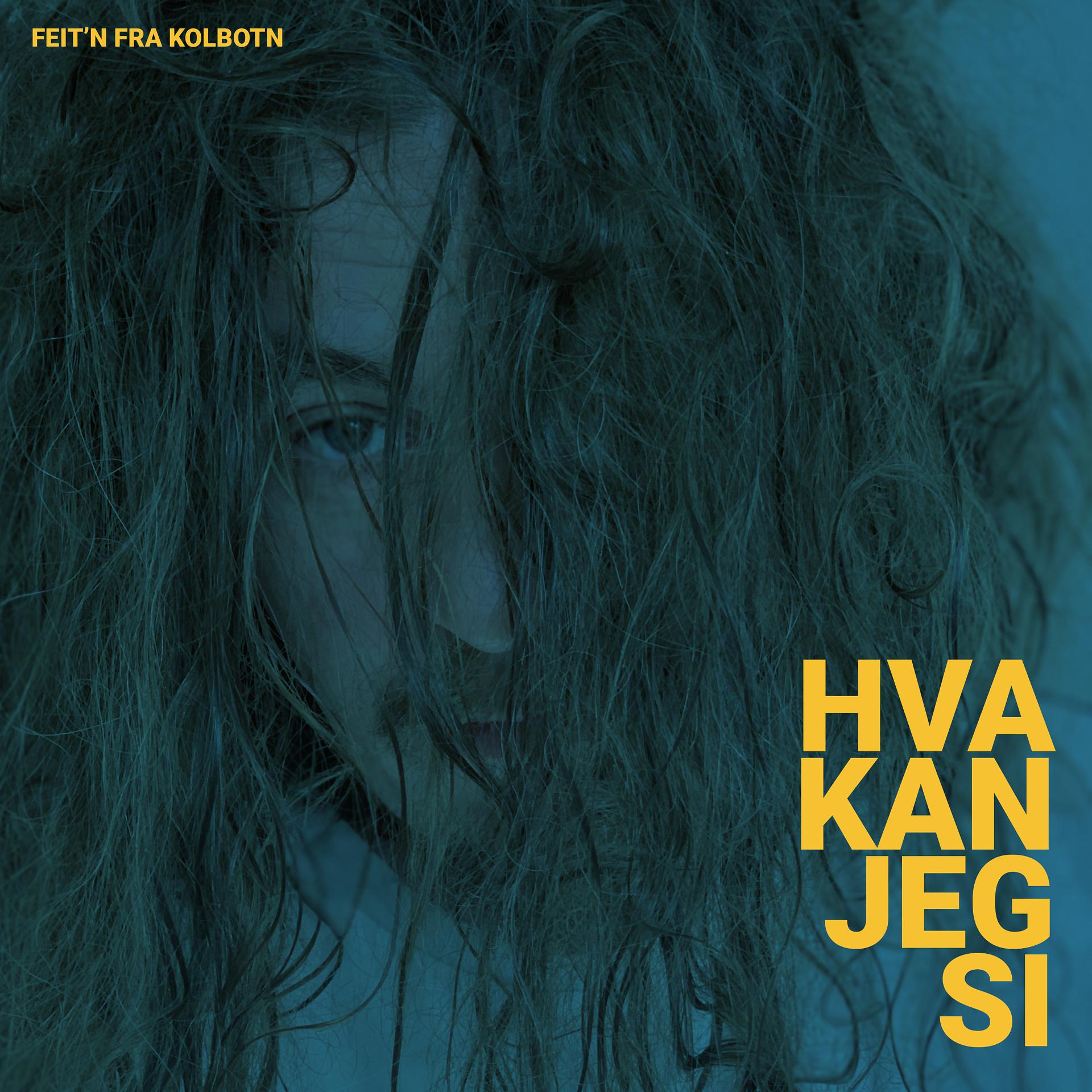 Постер альбома Hva Kan Jeg Si