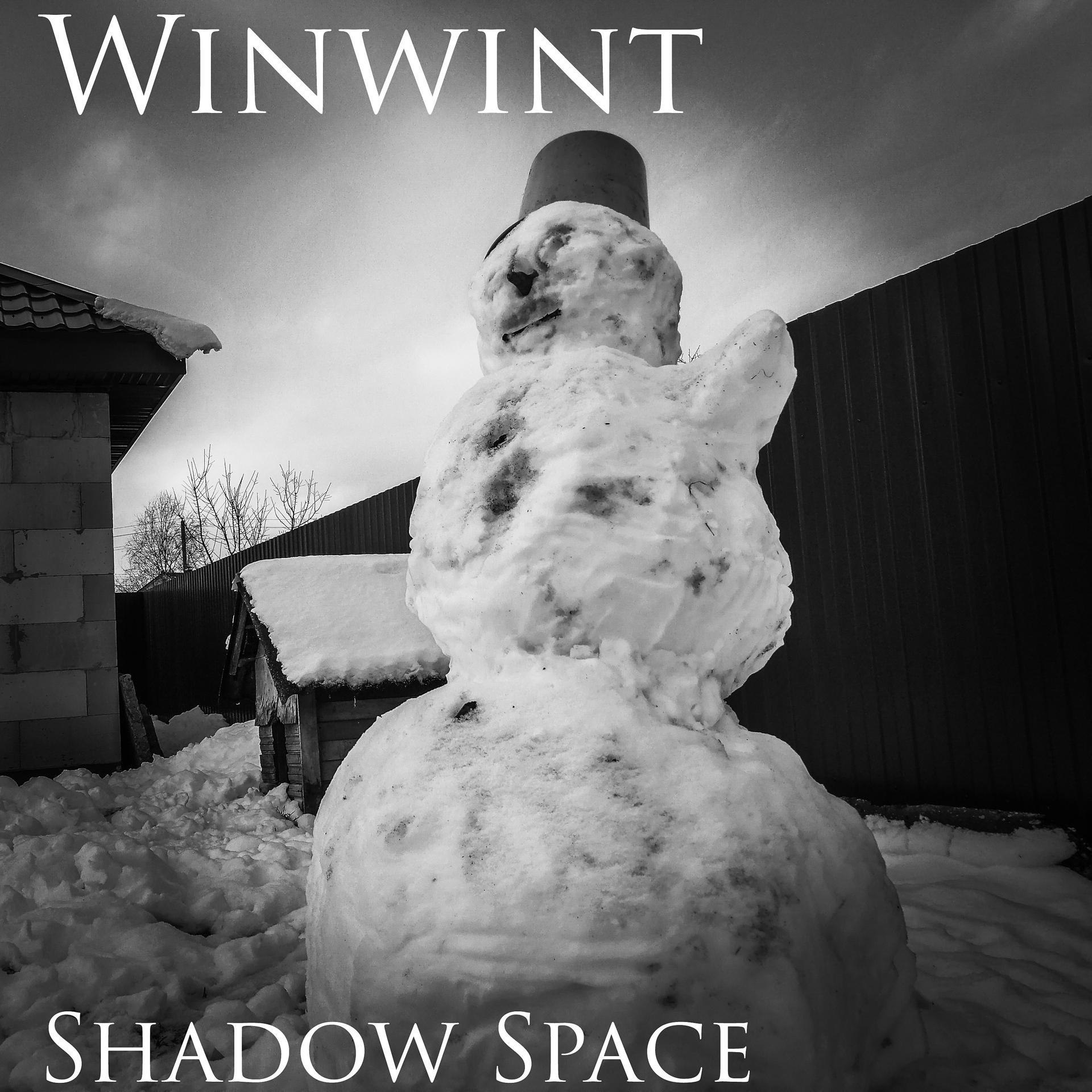 Постер альбома Winwint