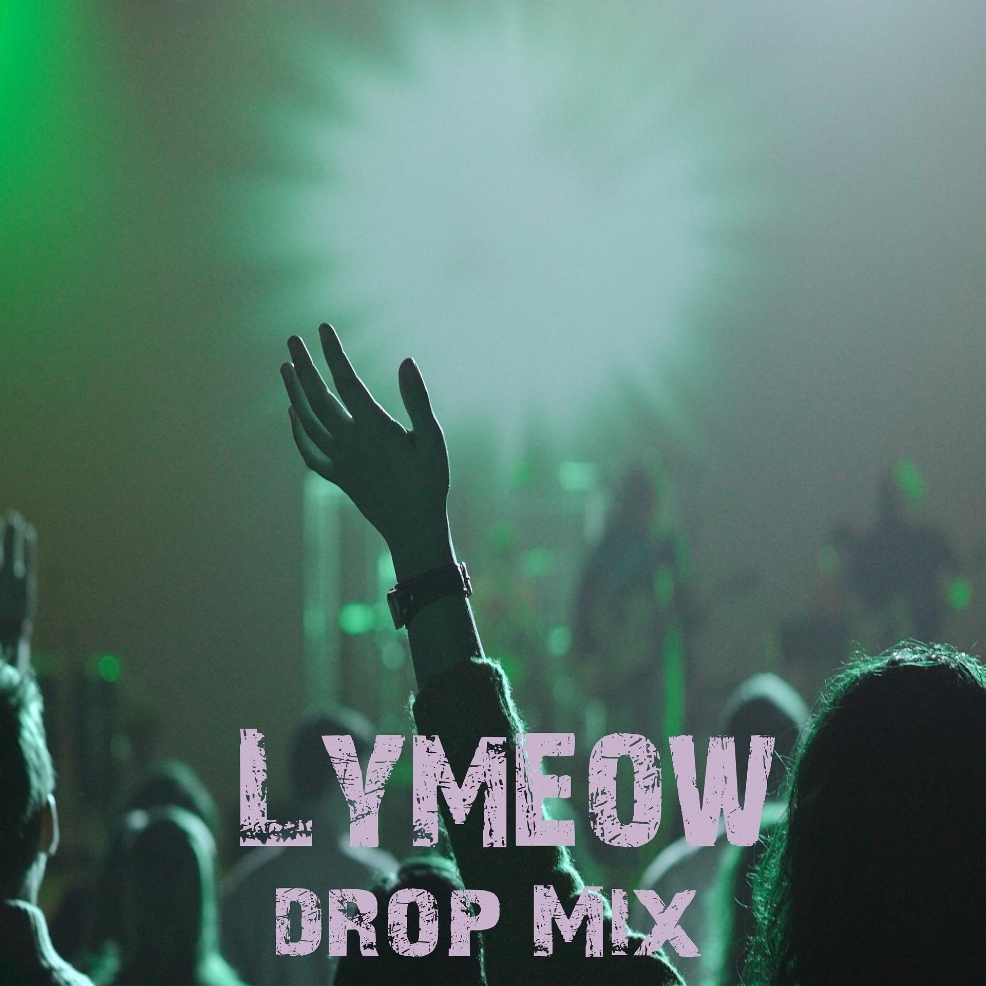 Постер альбома Drop Mix