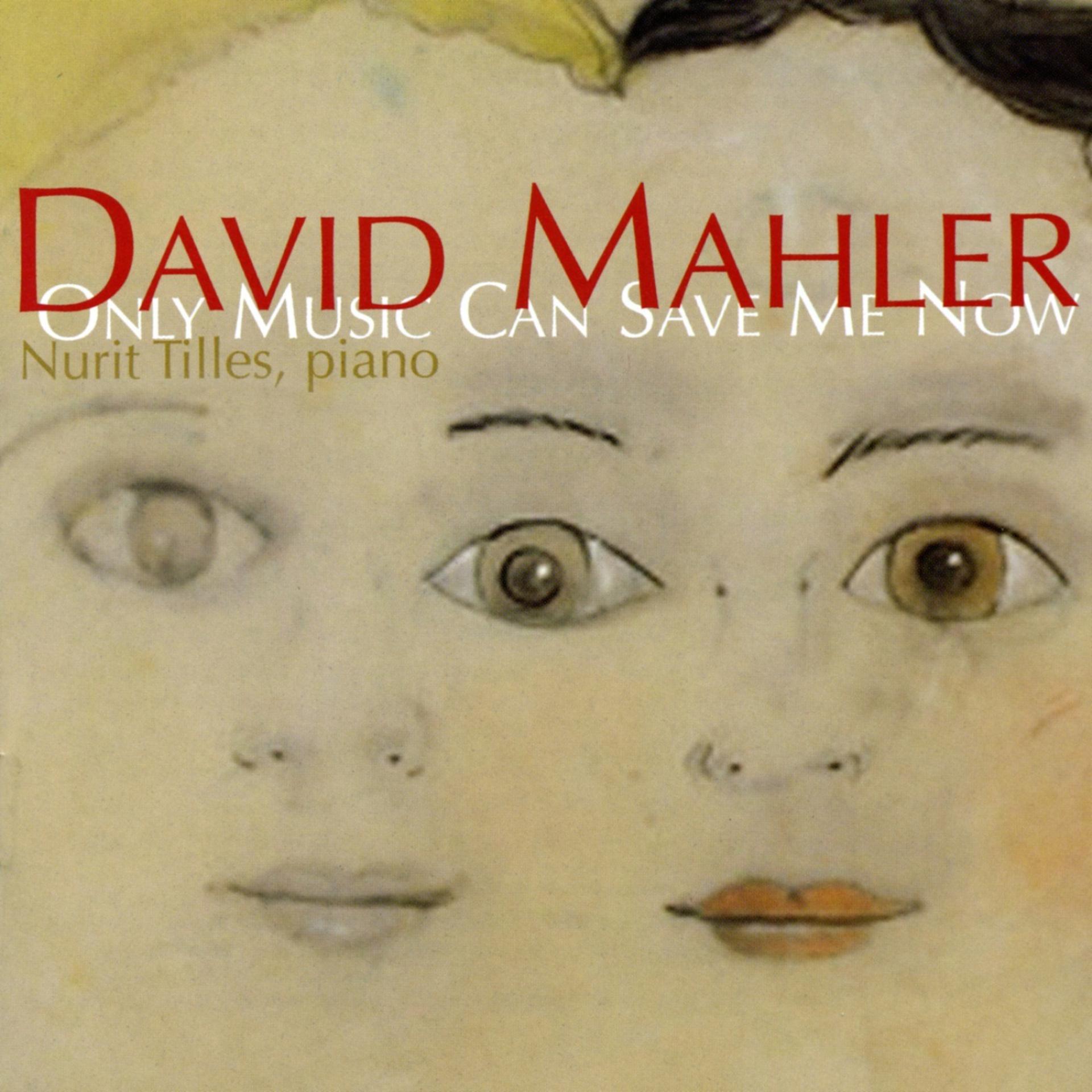 Постер альбома David Mahler: Only Music Can Save Me Now