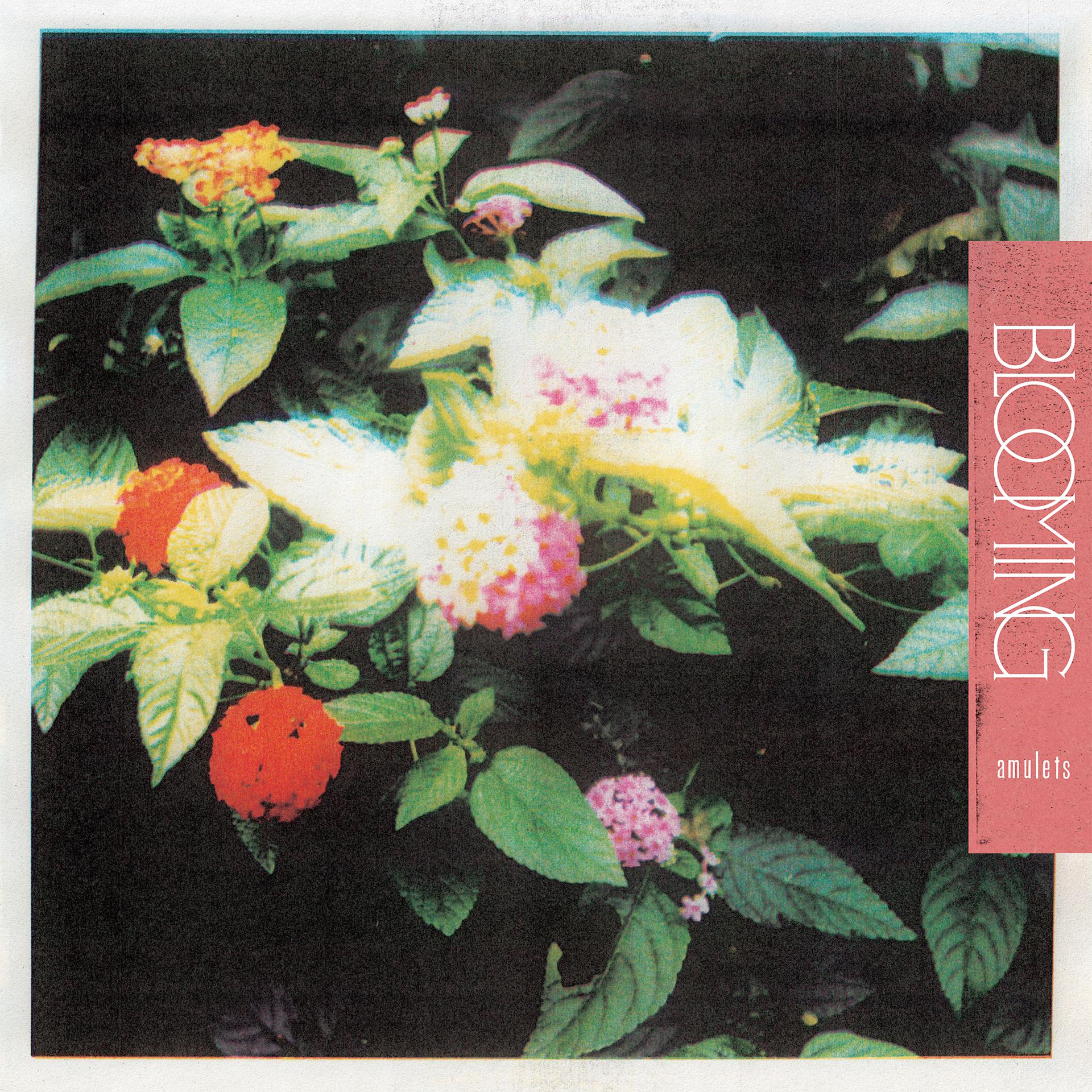 Постер альбома Blooming