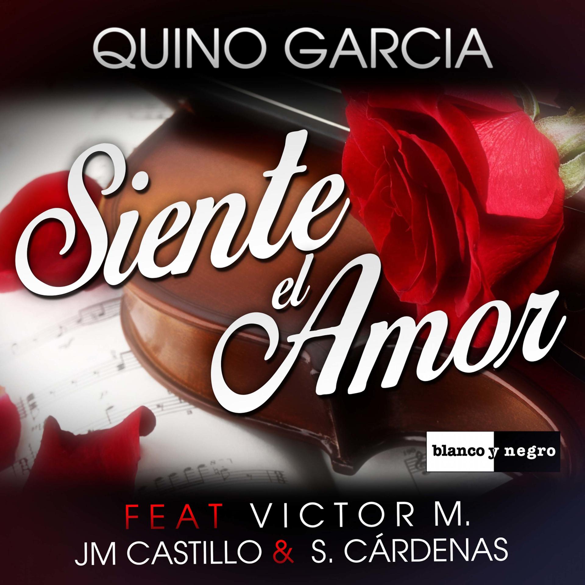 Постер альбома Siente el Amor