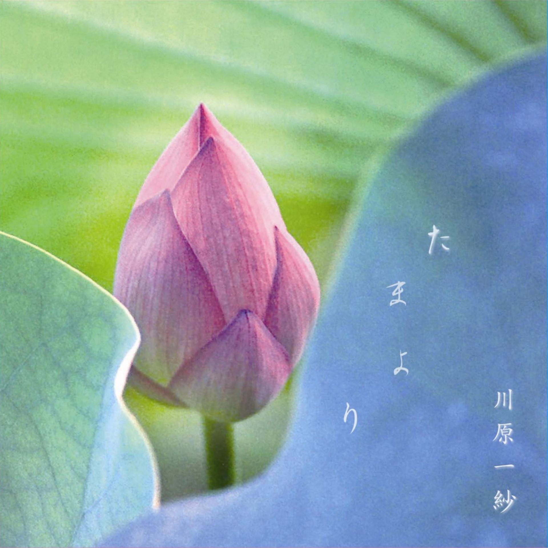 Постер альбома TAMAYORI - EP