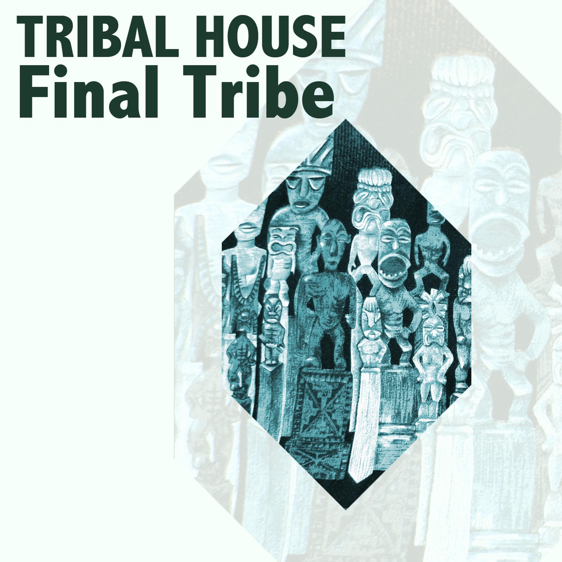 Постер альбома Final Tribe