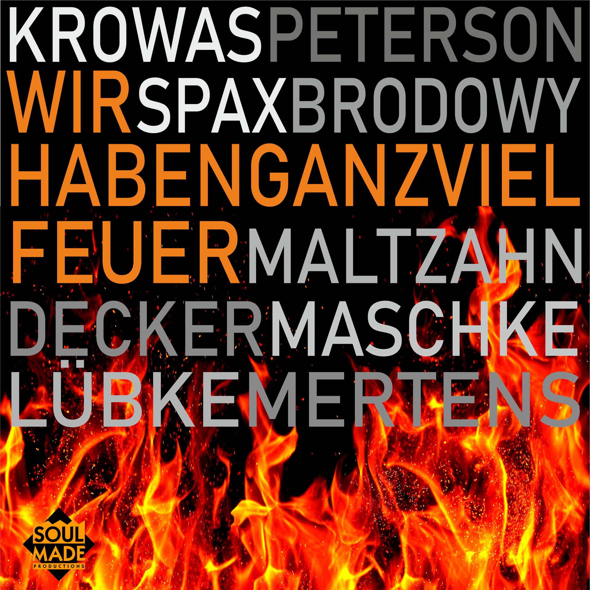 Постер альбома Wir haben ganz viel Feuer (We Didn't Start the Fire)
