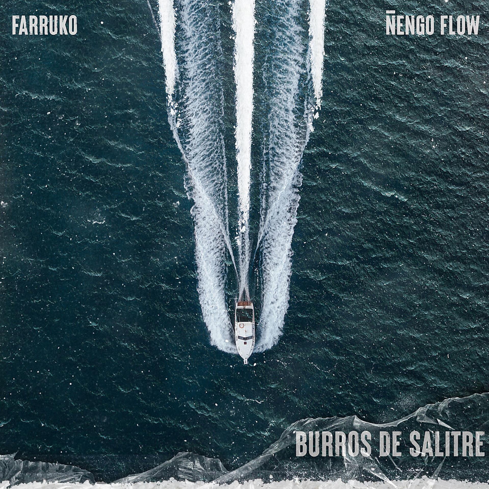 Постер альбома Burros de Salitre
