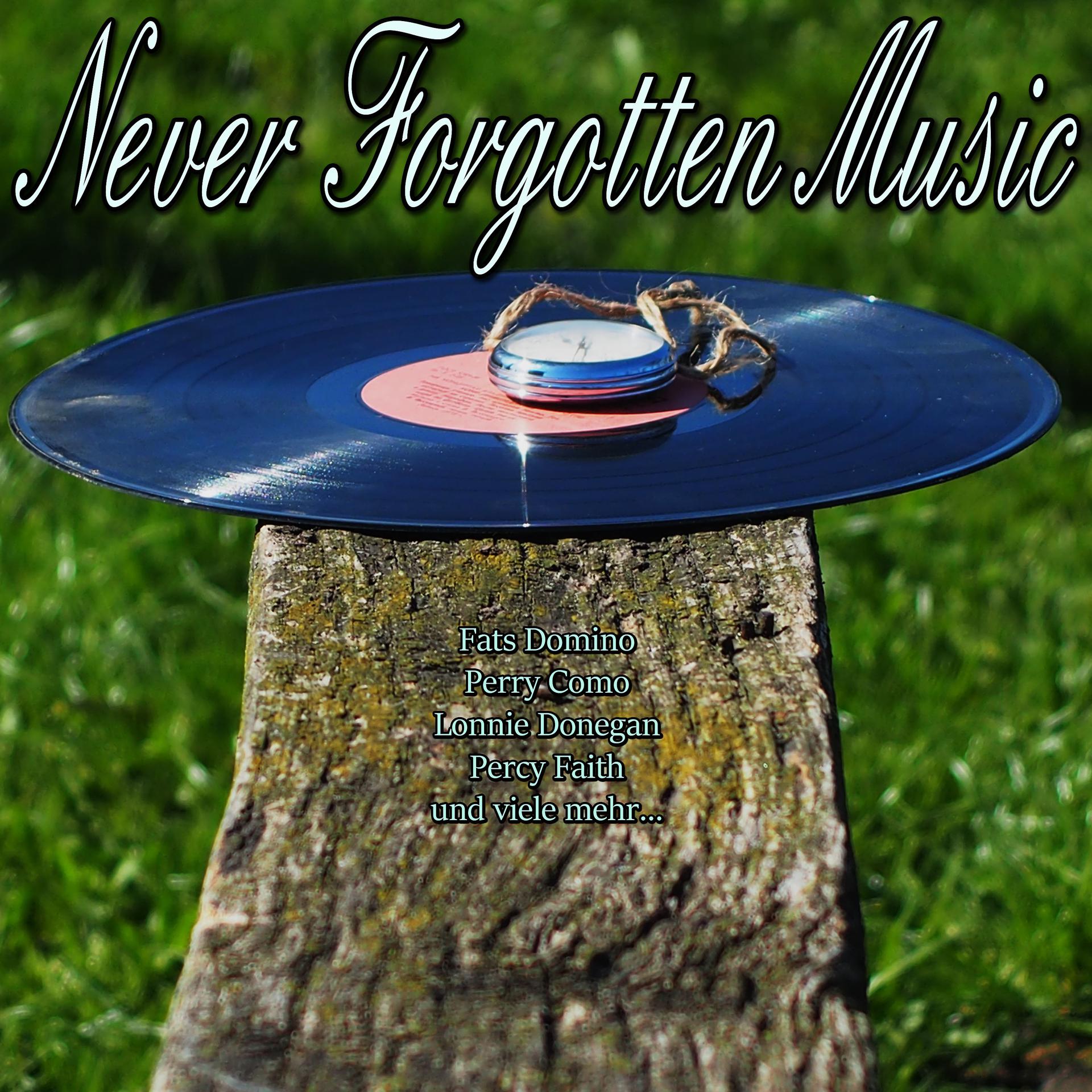 Постер альбома Never Forgotten Music