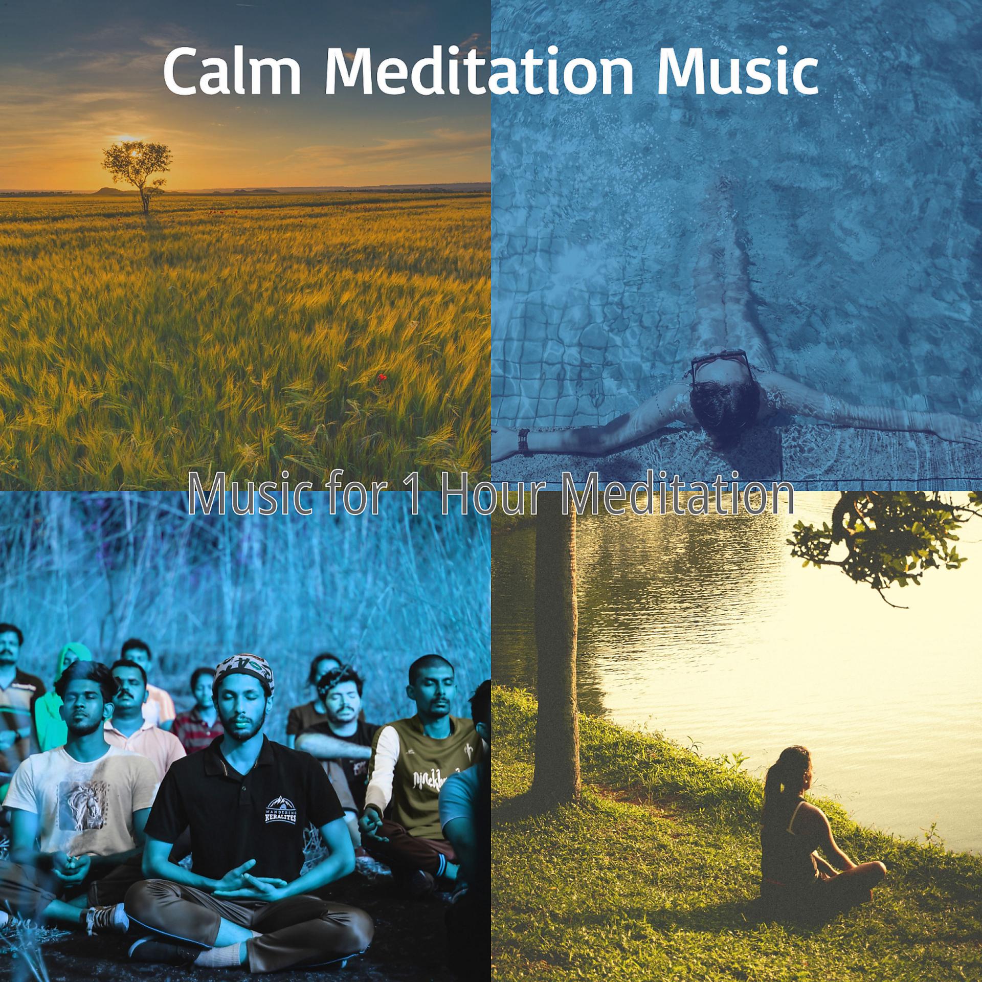 Постер альбома Music for 1 Hour Meditation