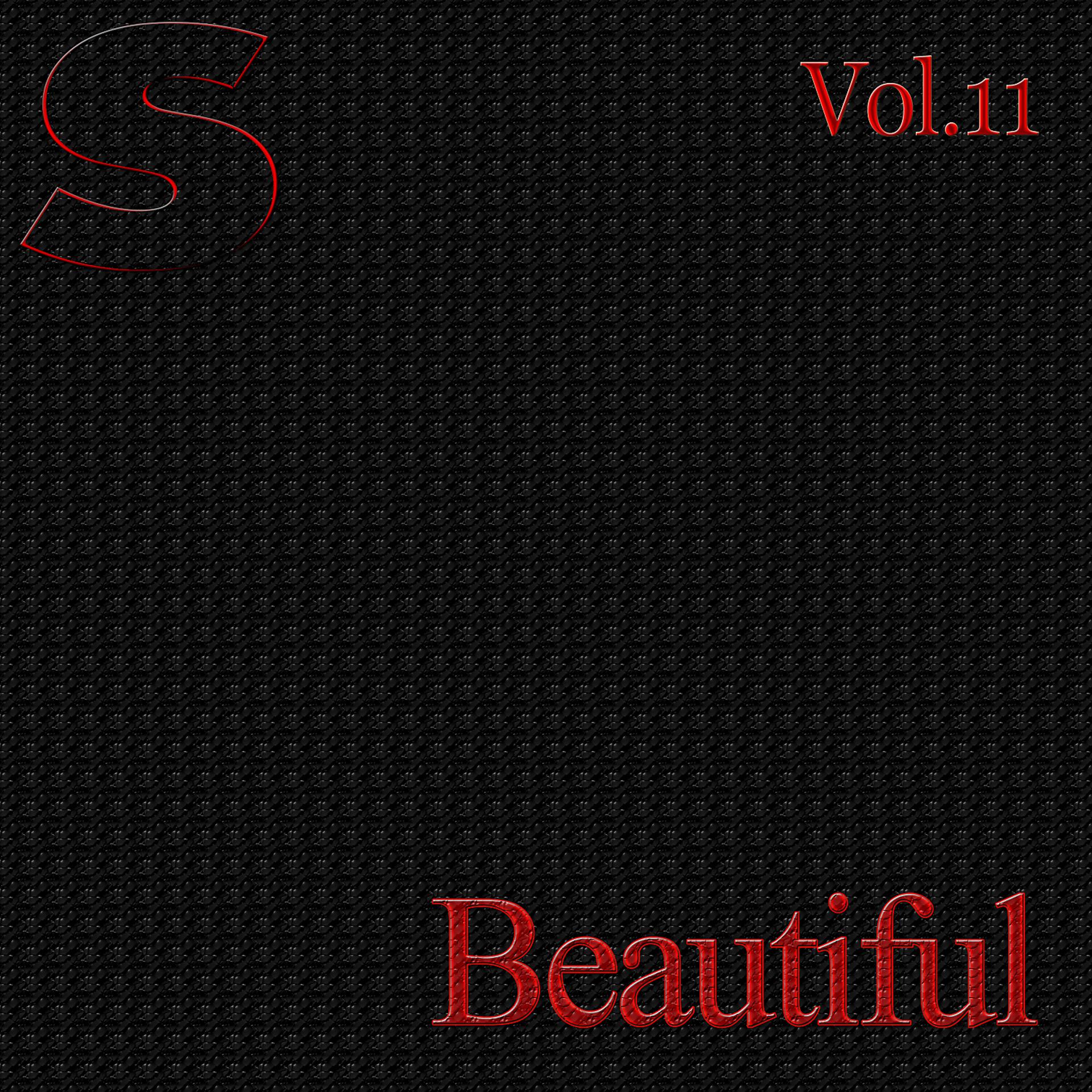 Постер альбома Beautiful, Vol.11