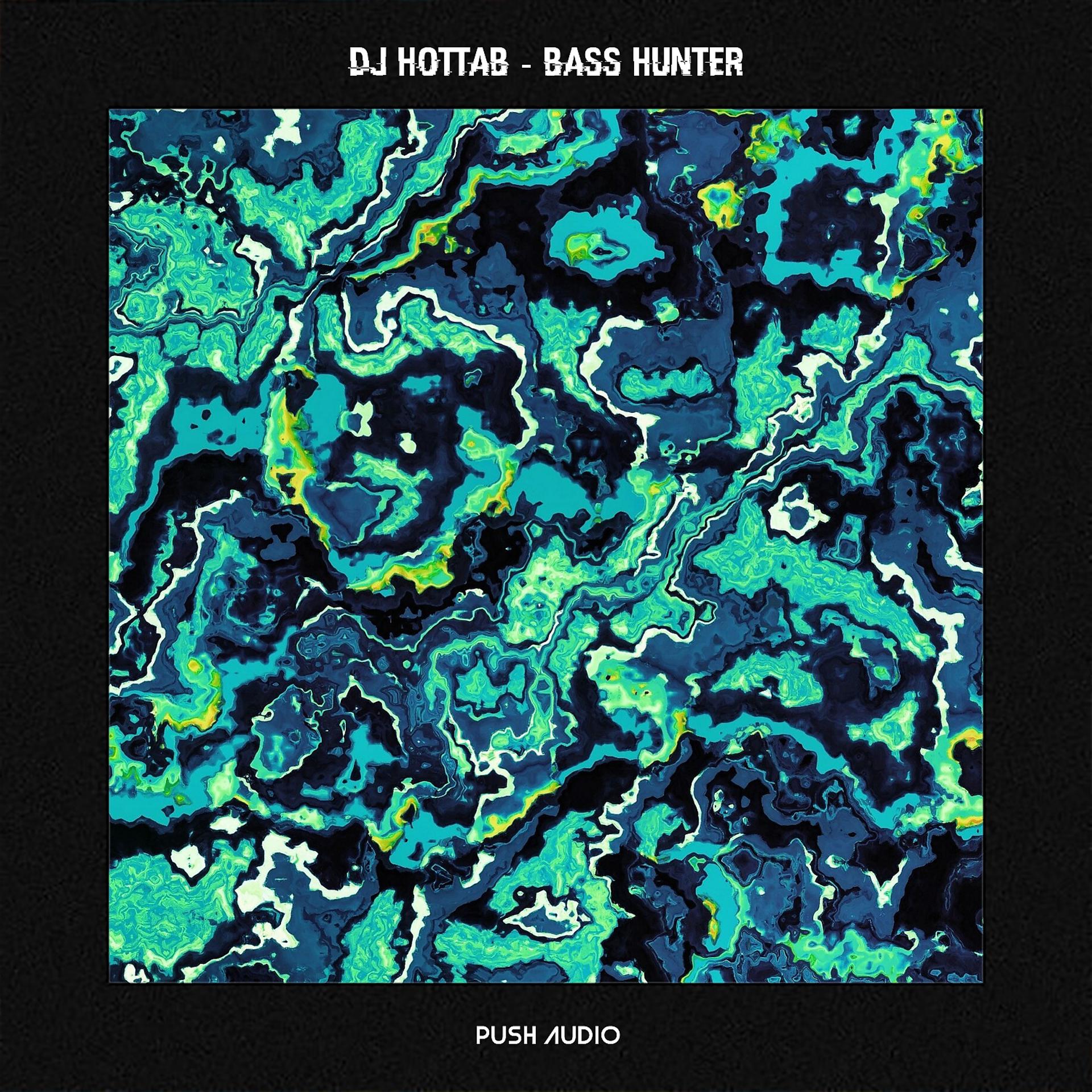 Постер альбома Bass Hunter