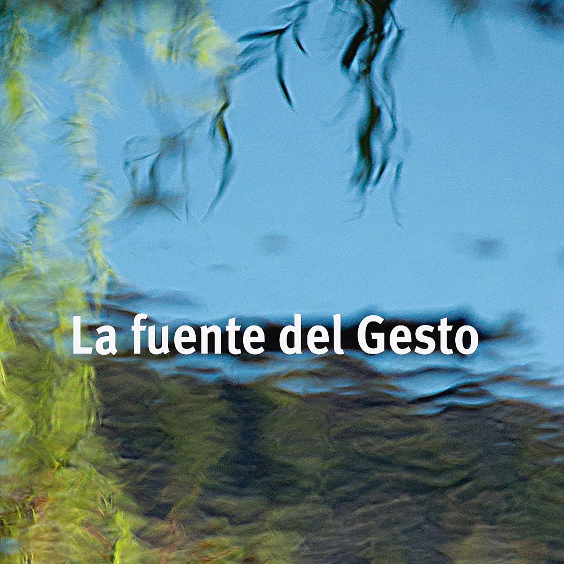 Постер альбома La Fuente del Gesto