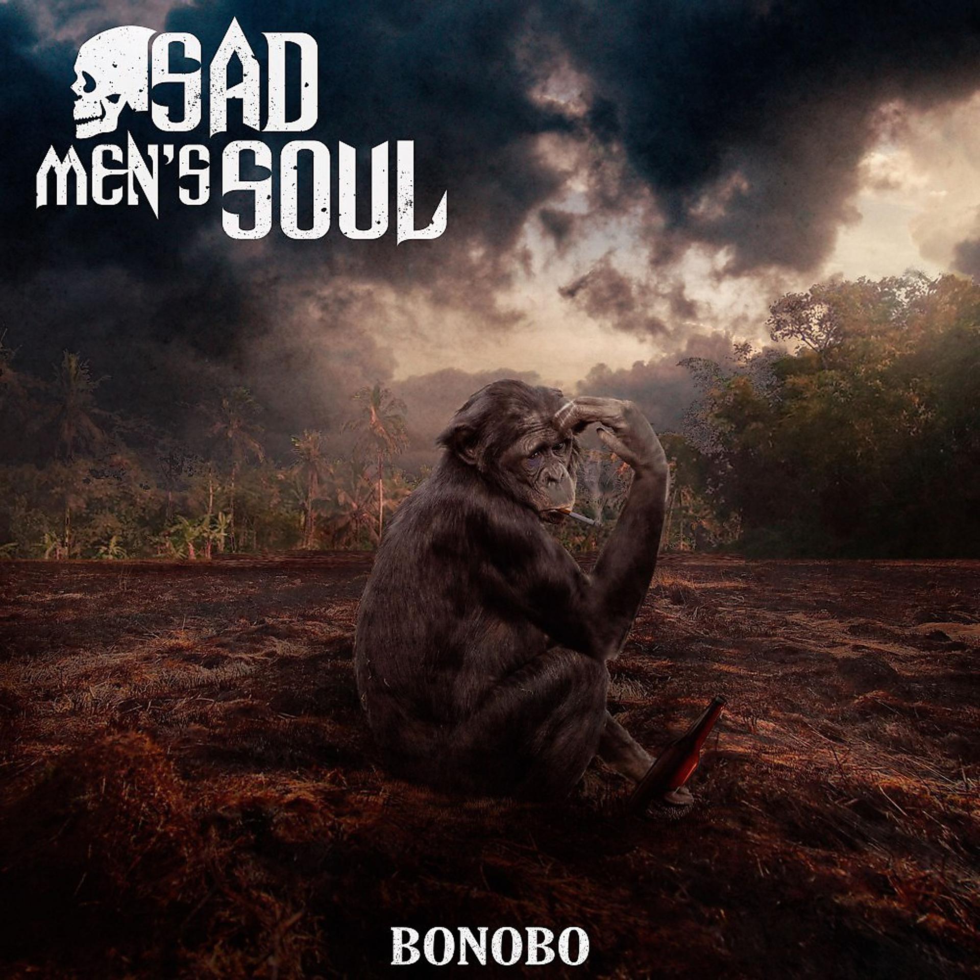 Постер альбома Bonobo