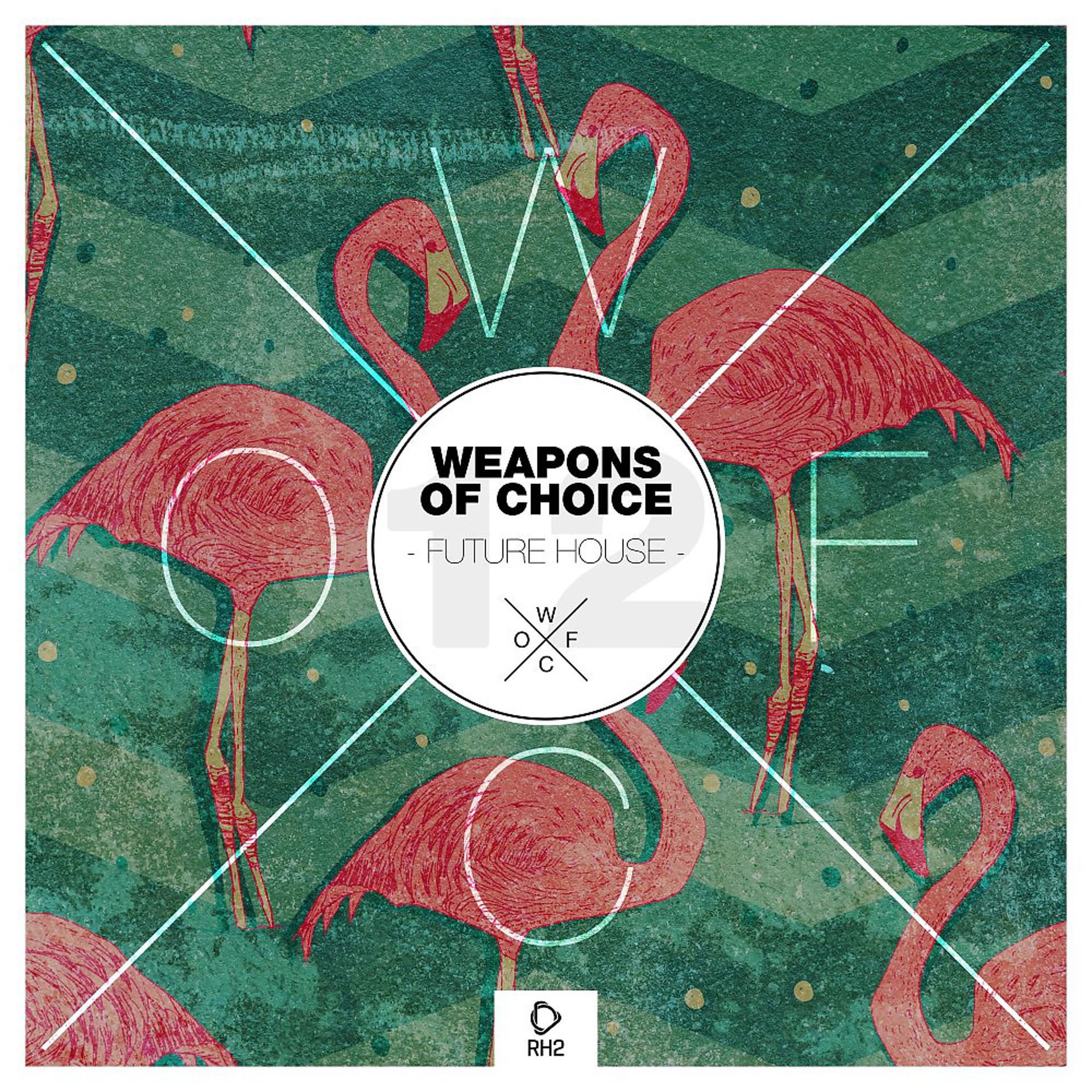 Постер альбома Weapons of Choice - Future House, Vol. 12